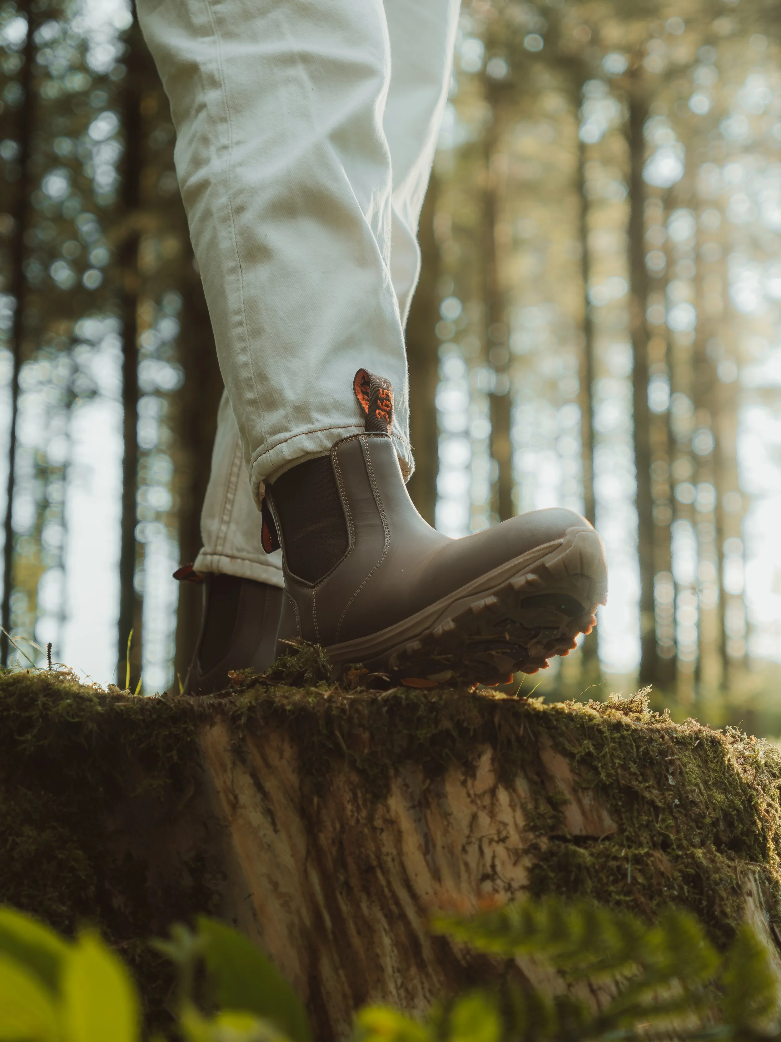 Lightroom Lanx Collection-10.jpg