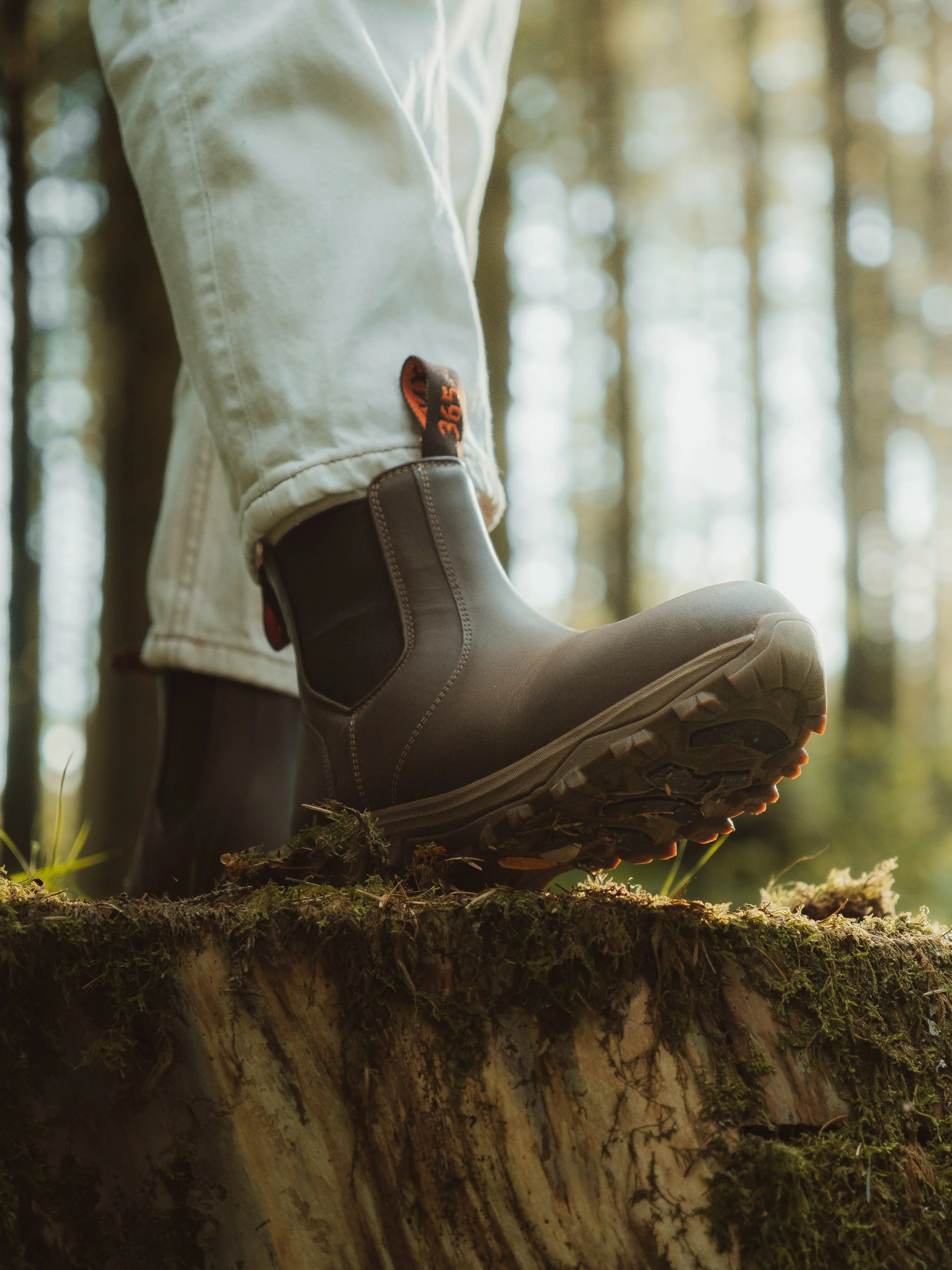 Lightroom Lanx Collection-11.jpg