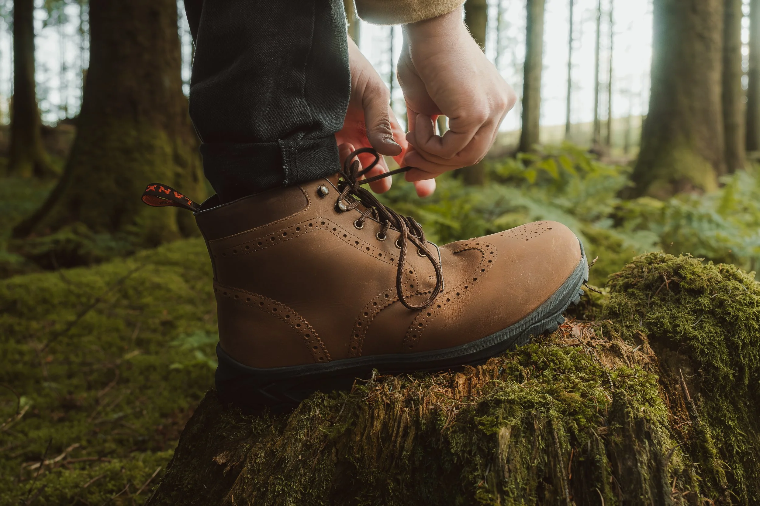 Lightroom Lanx Collection-27.jpg