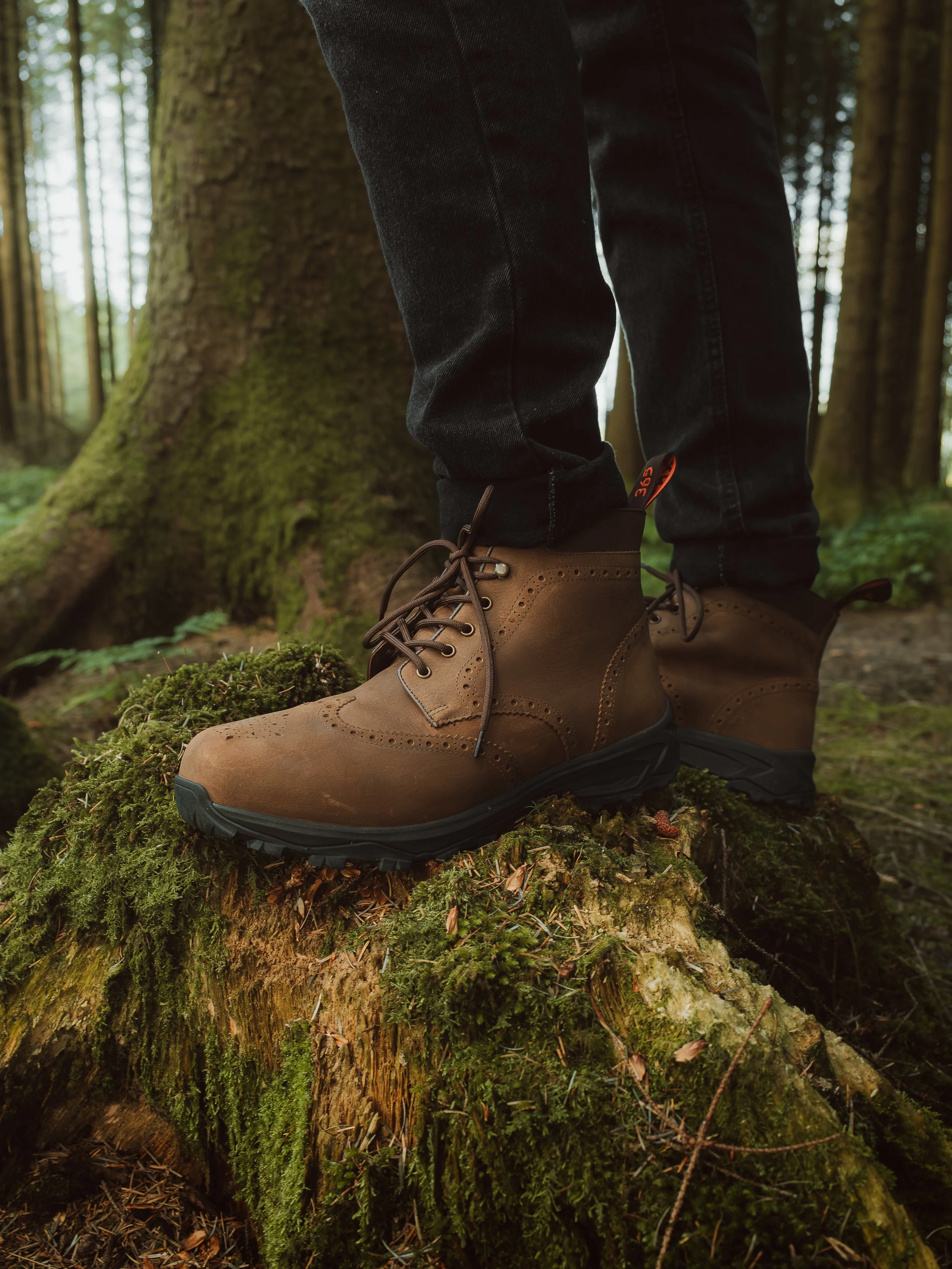 Lightroom Lanx Collection-32.jpg