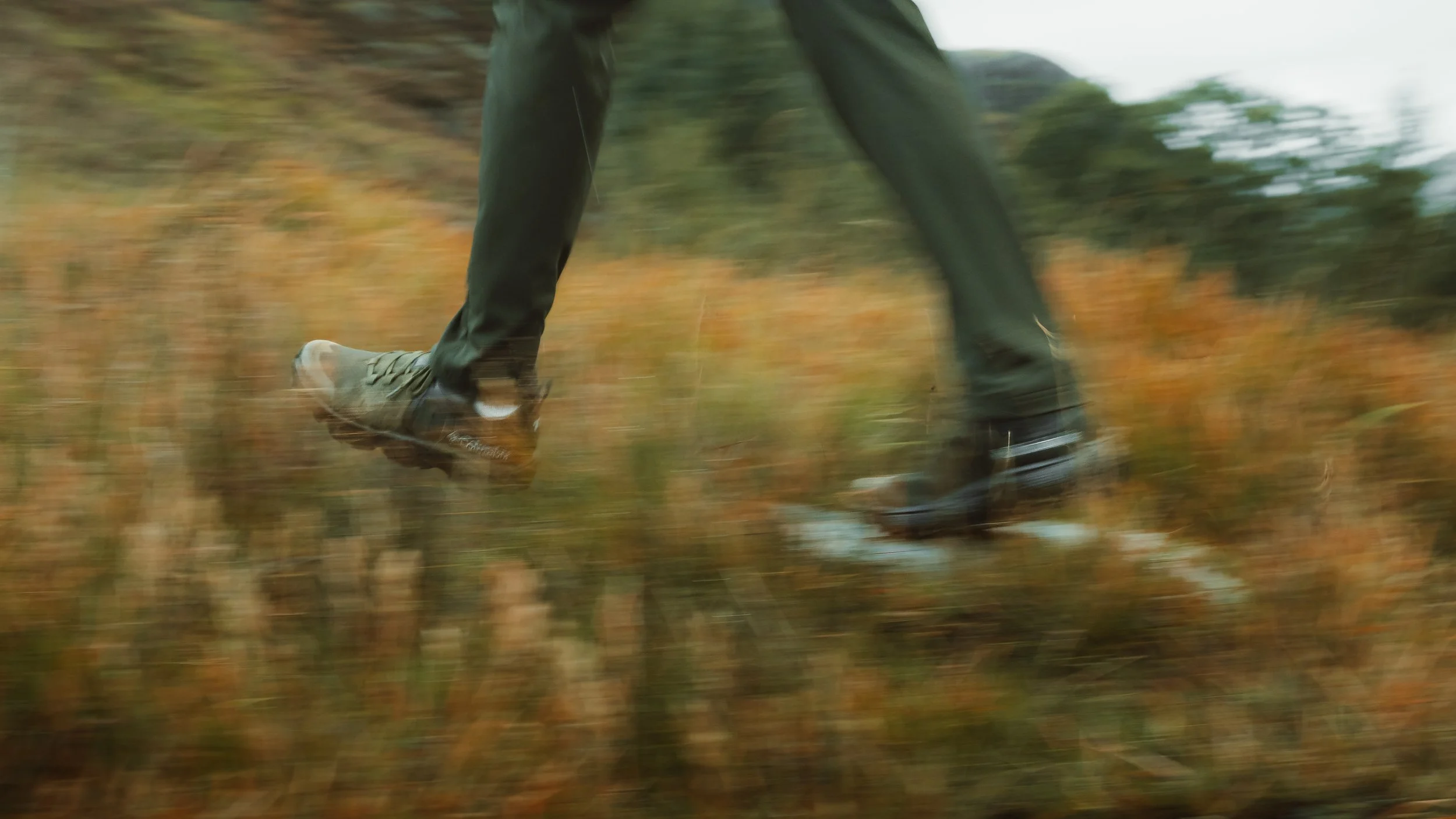 Sigma 17-40mm F1.8.jpg