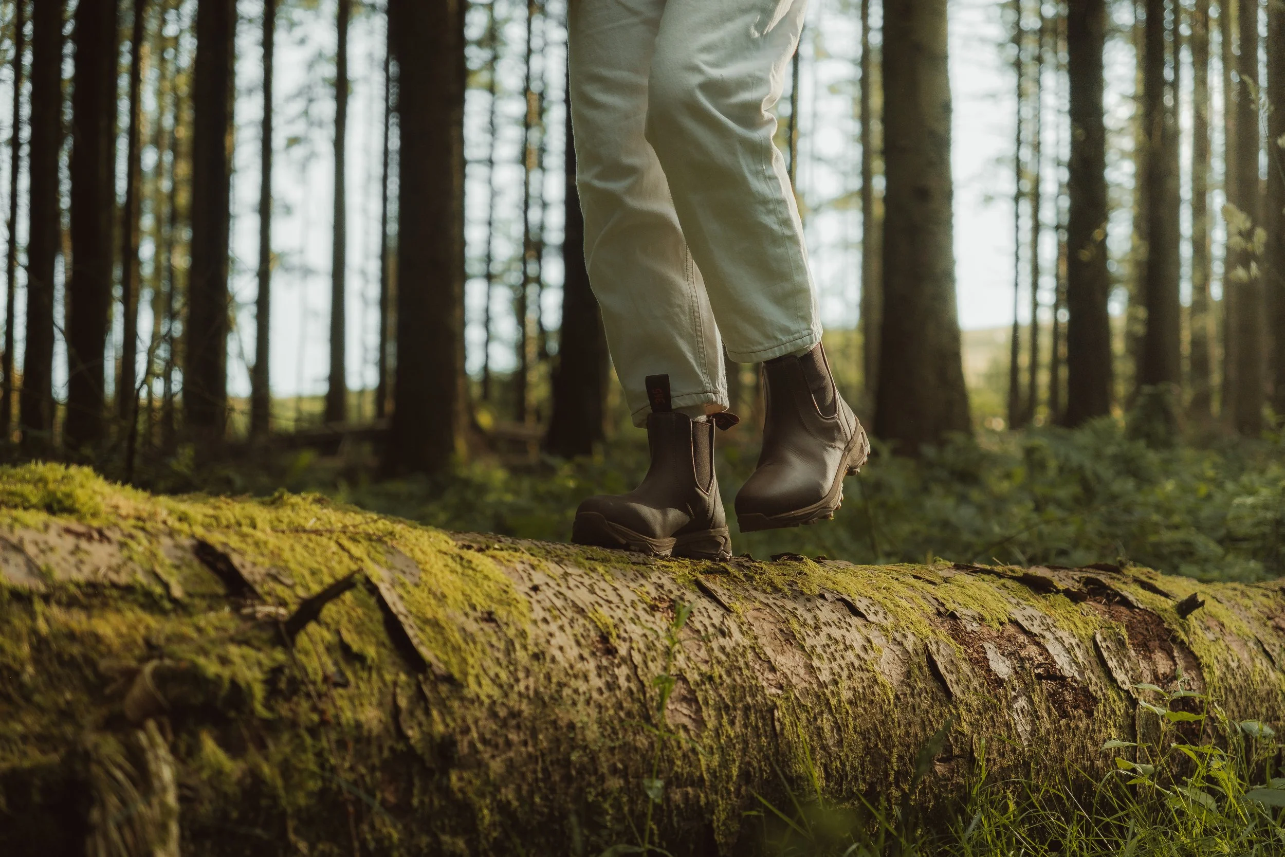 Lightroom Lanx Collection-16.jpg