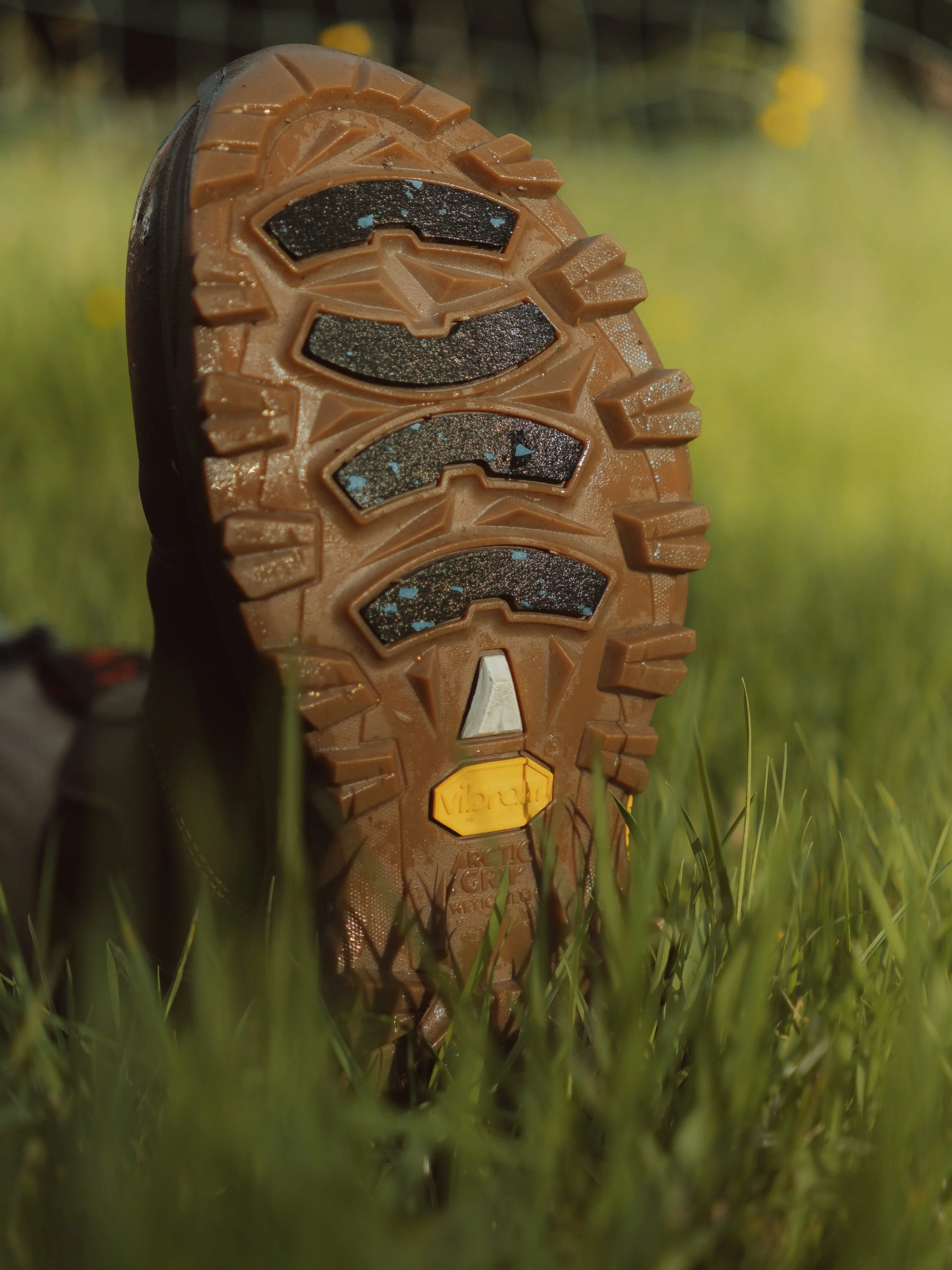 Lightroom Lanx Collection-59.jpg