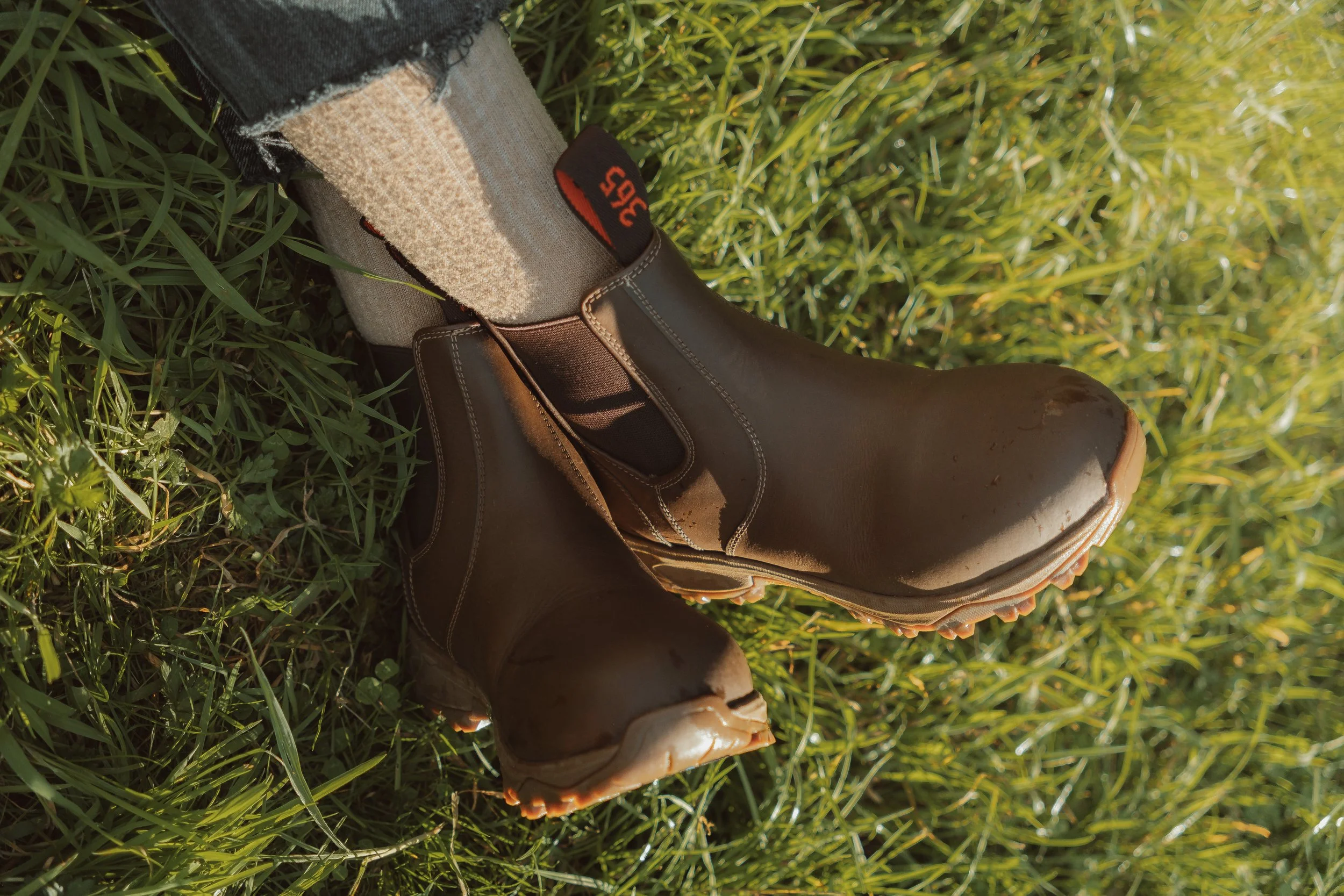 Lightroom Lanx Collection-65.jpg