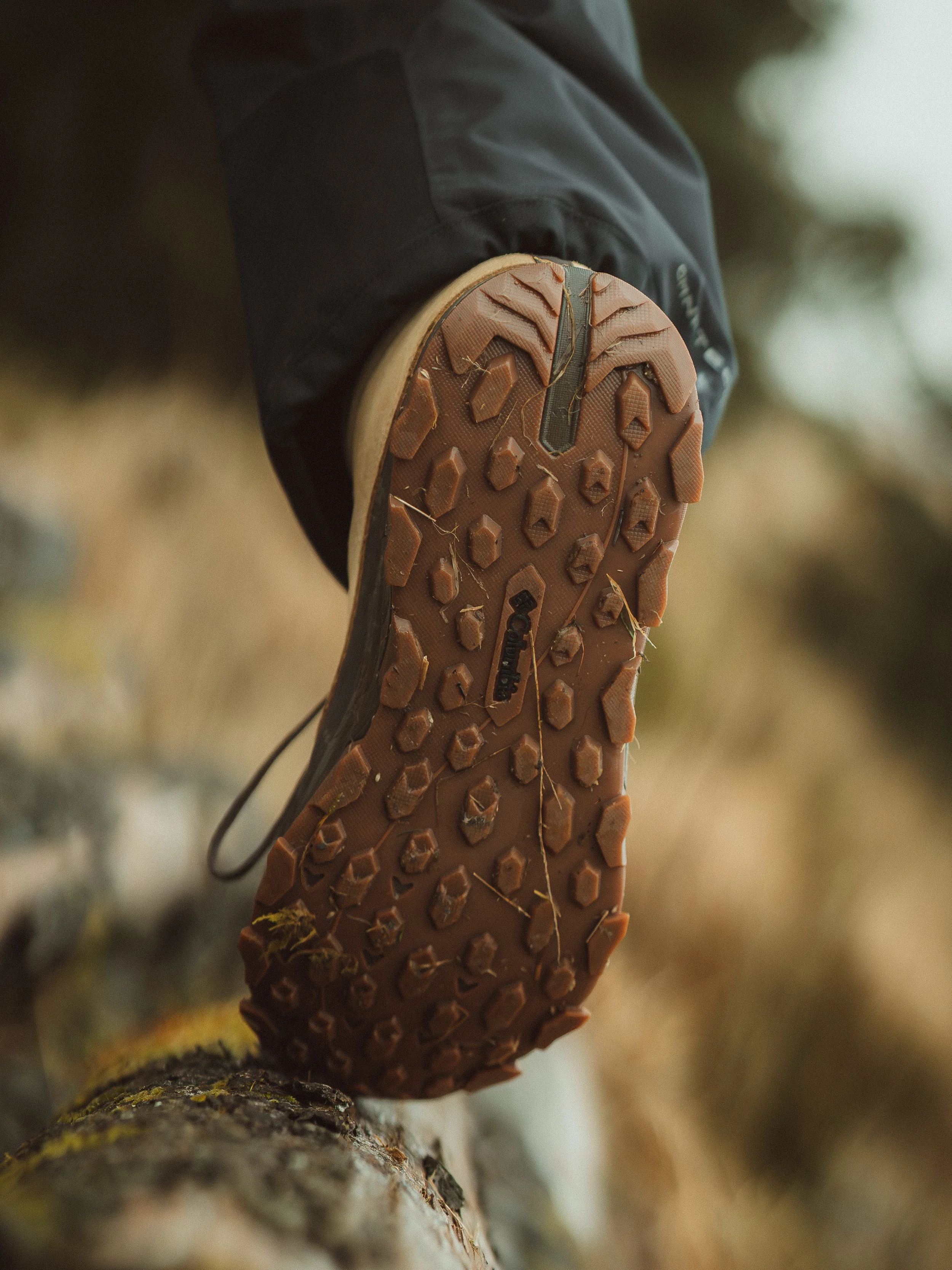 Lighroom Columbia WINTER HIKE-36.jpg