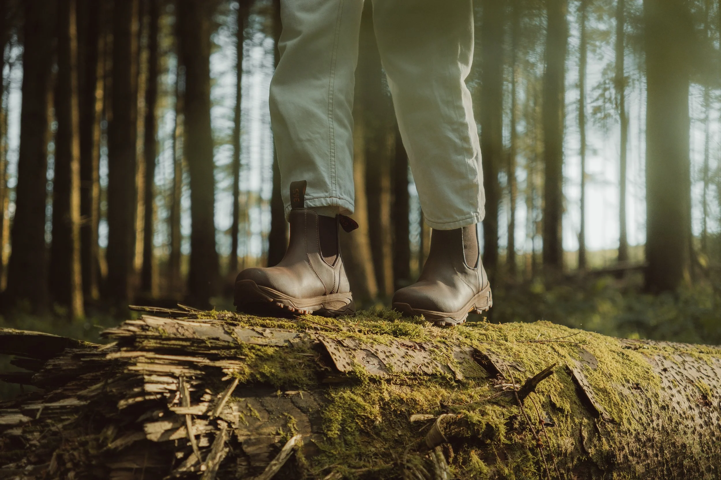 Lightroom Lanx Collection-17.jpg