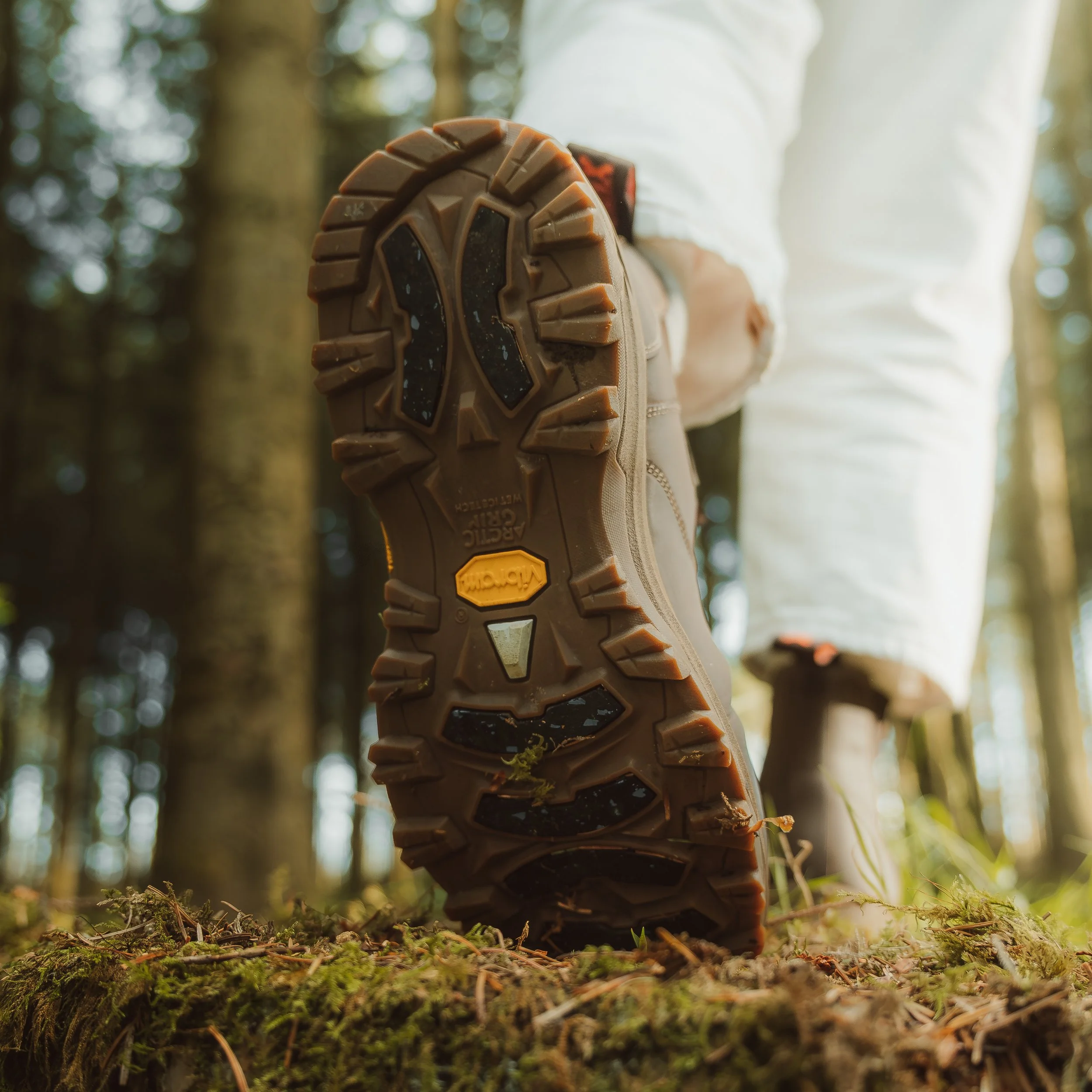 Lightroom Lanx Collection-24.jpg