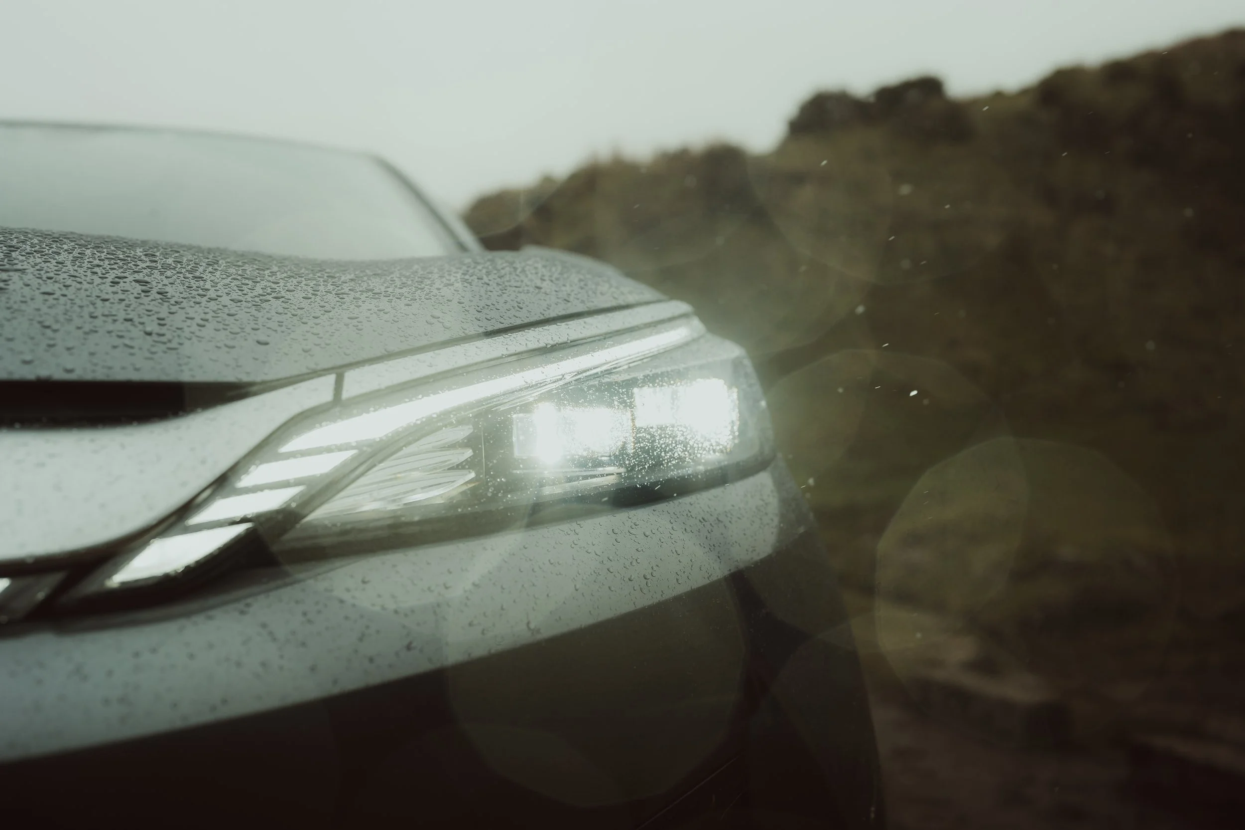 Lightroom BYD Spring Adventure-36.jpg