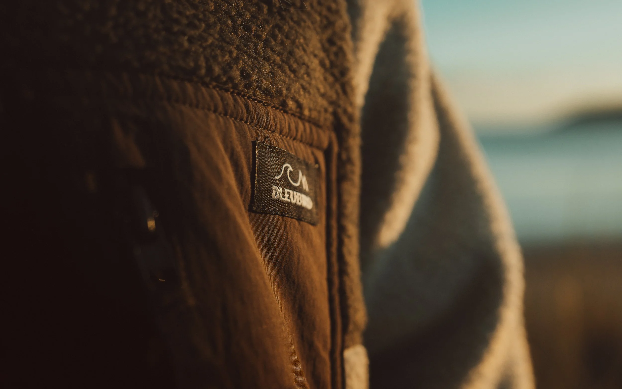 Lighroom Bleubird Photo Collection-10.jpg