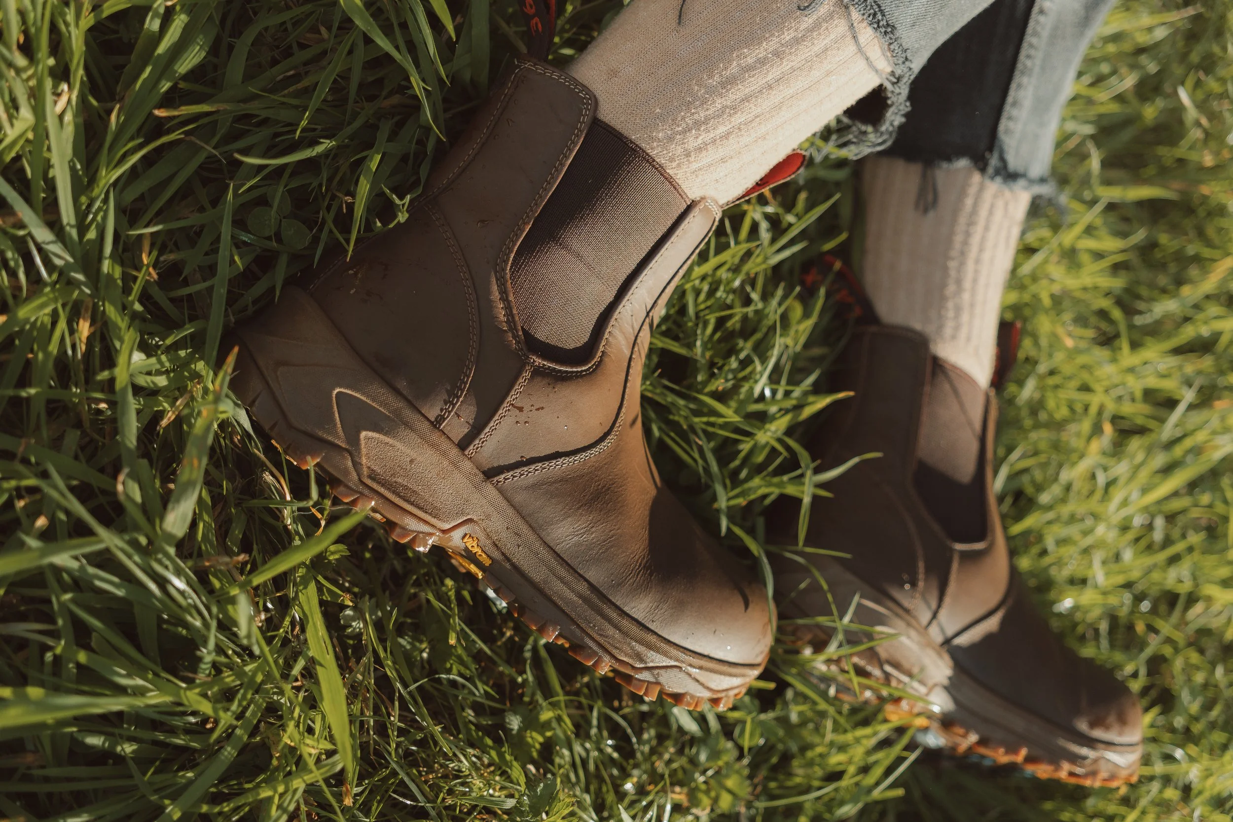 Lightroom Lanx Collection-64.jpg