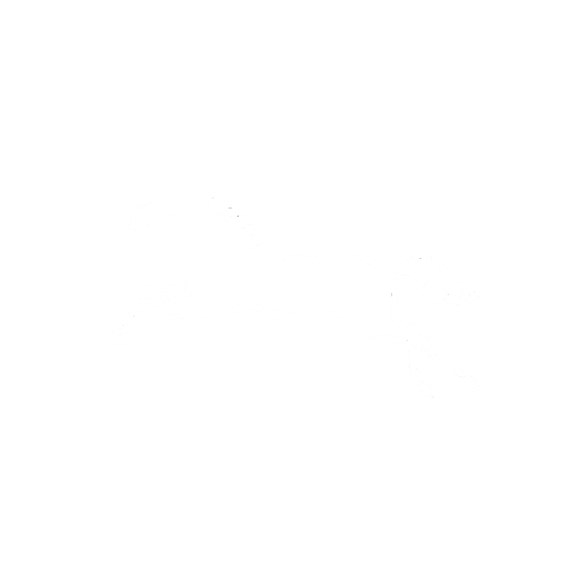 Outline drawing of a running horse on a black background.
