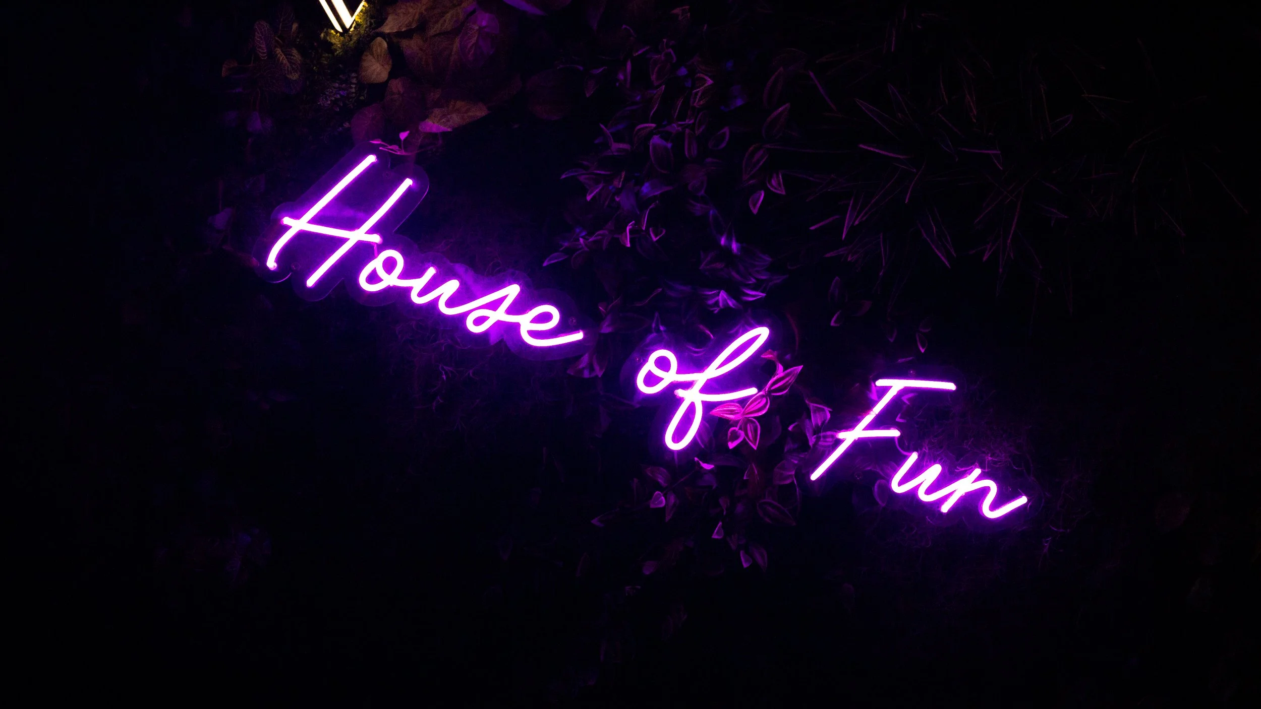 Neon sign that reads 'House of Fun' in purple cursive letters, with decorative leaves and plants in the background, glowing in a dark setting.