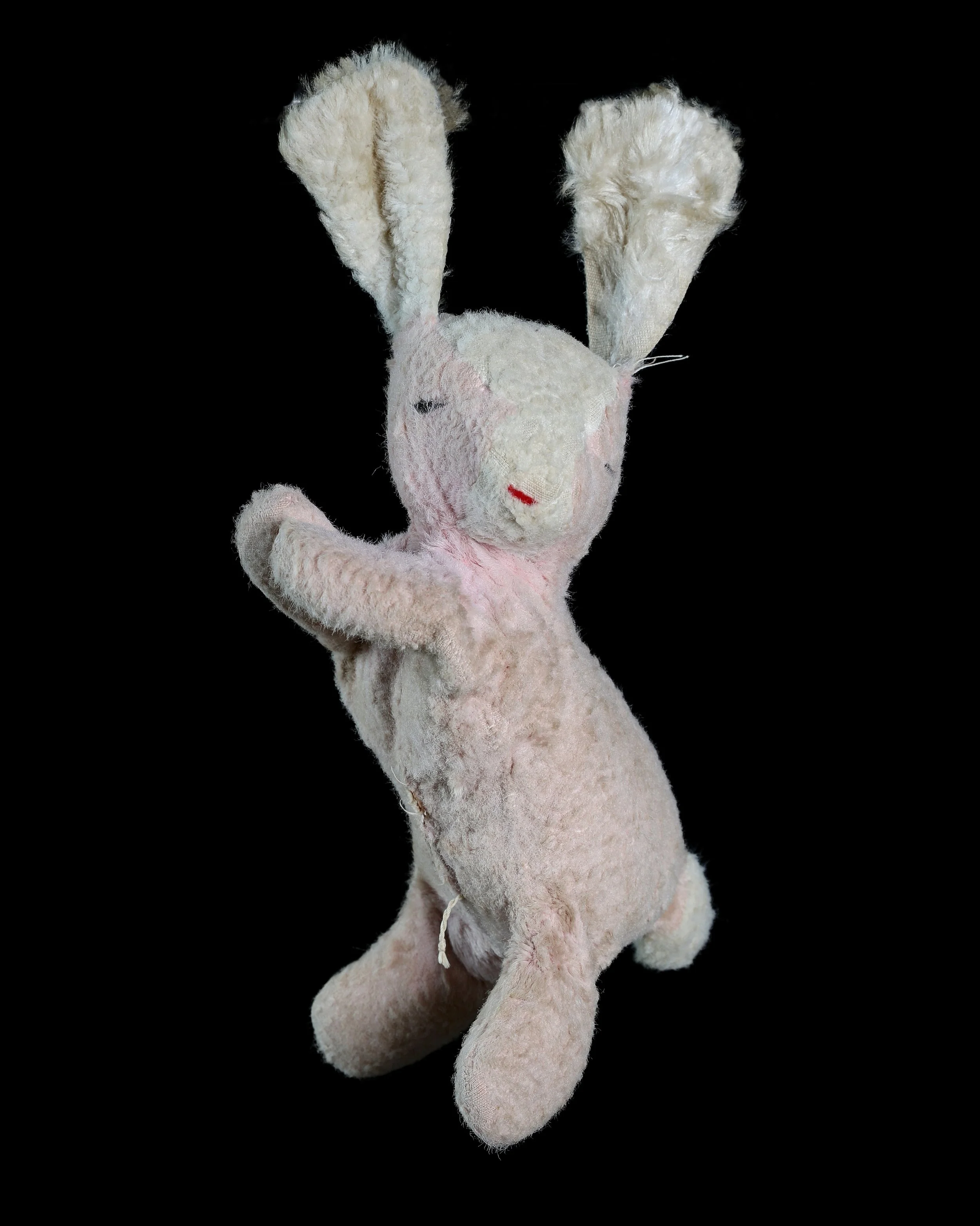 Junior project WK60098.jpg