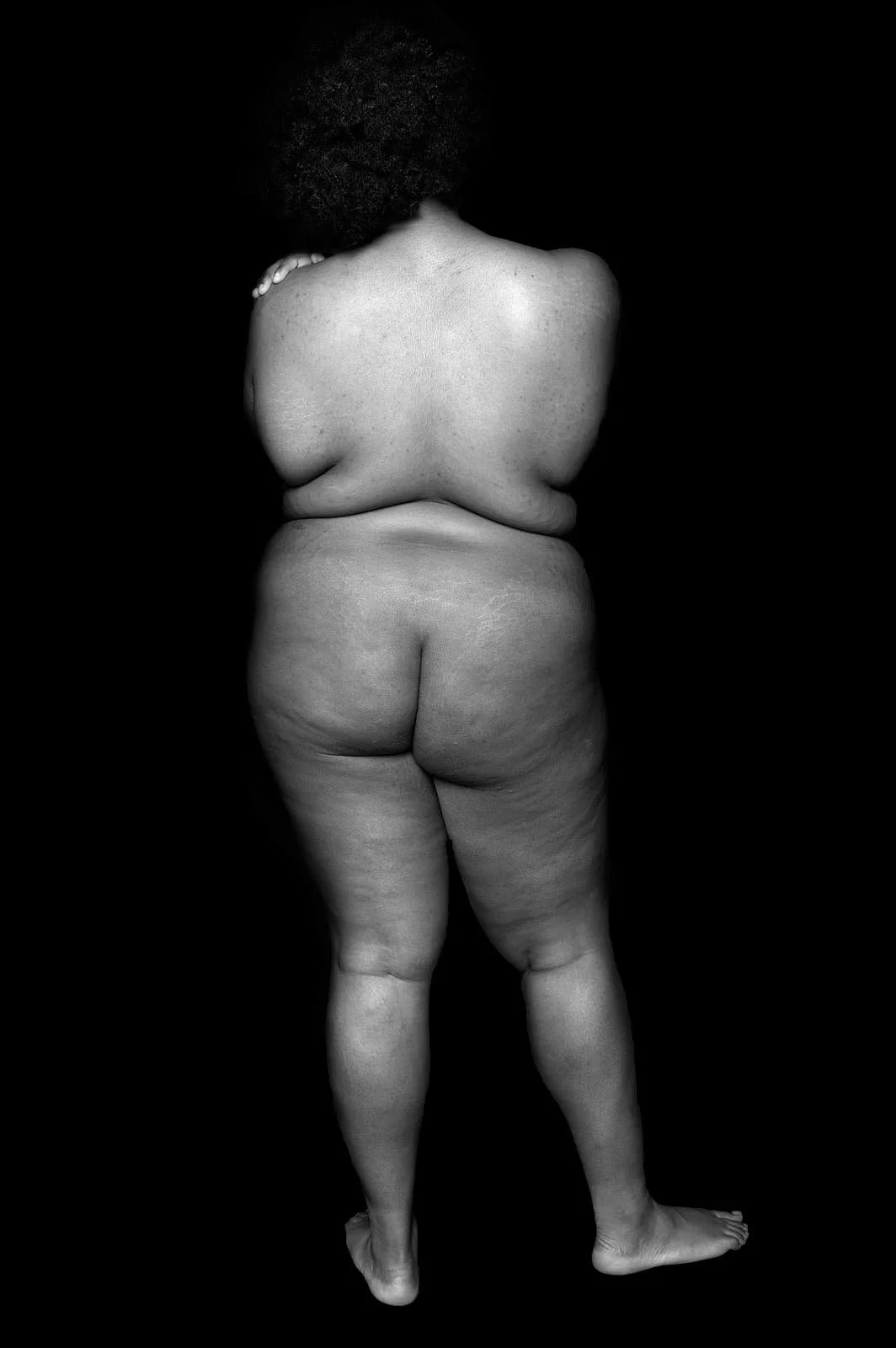 laying bare web 5.jpg