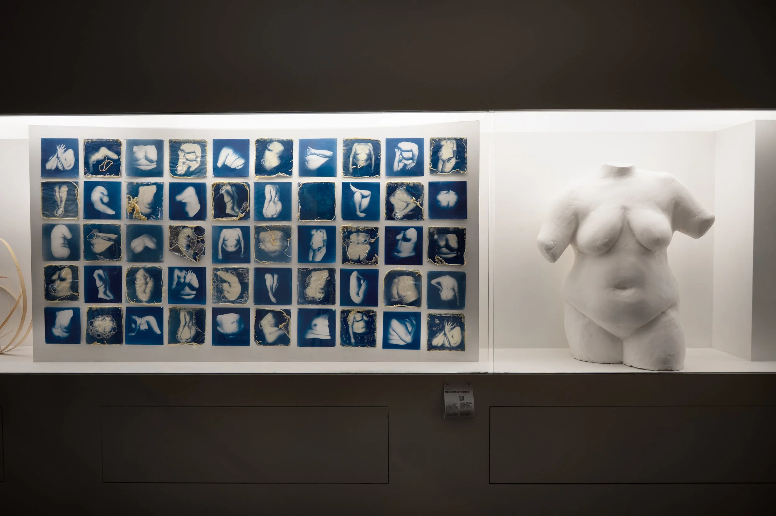 Cover Letter (Teneo).pdf.jpg