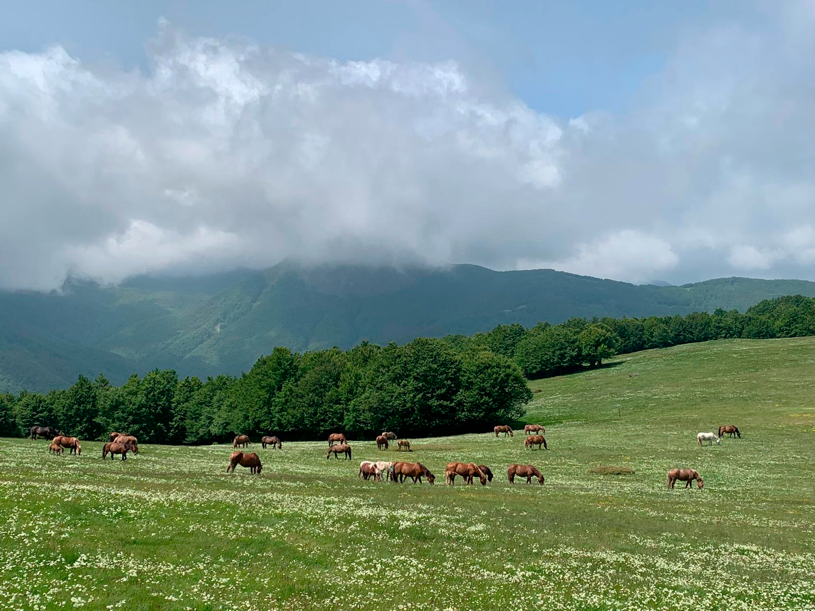 Il territorio dell'appennino