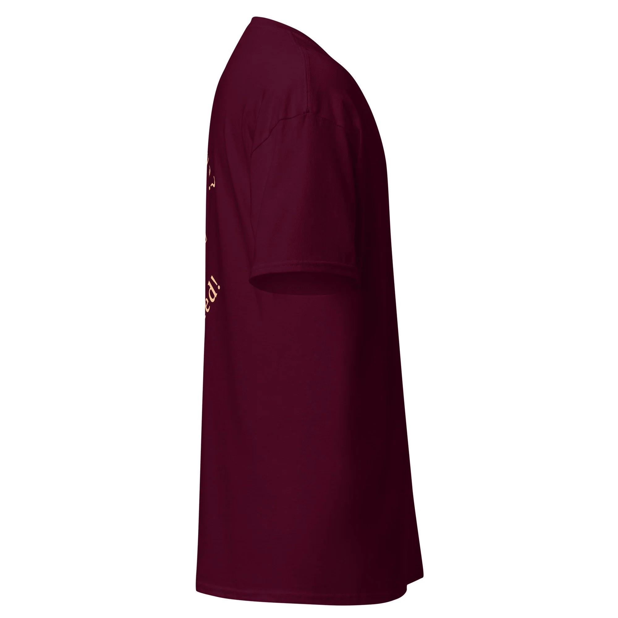unisex-classic-tee-maroon-right-69e70867add72.jpg