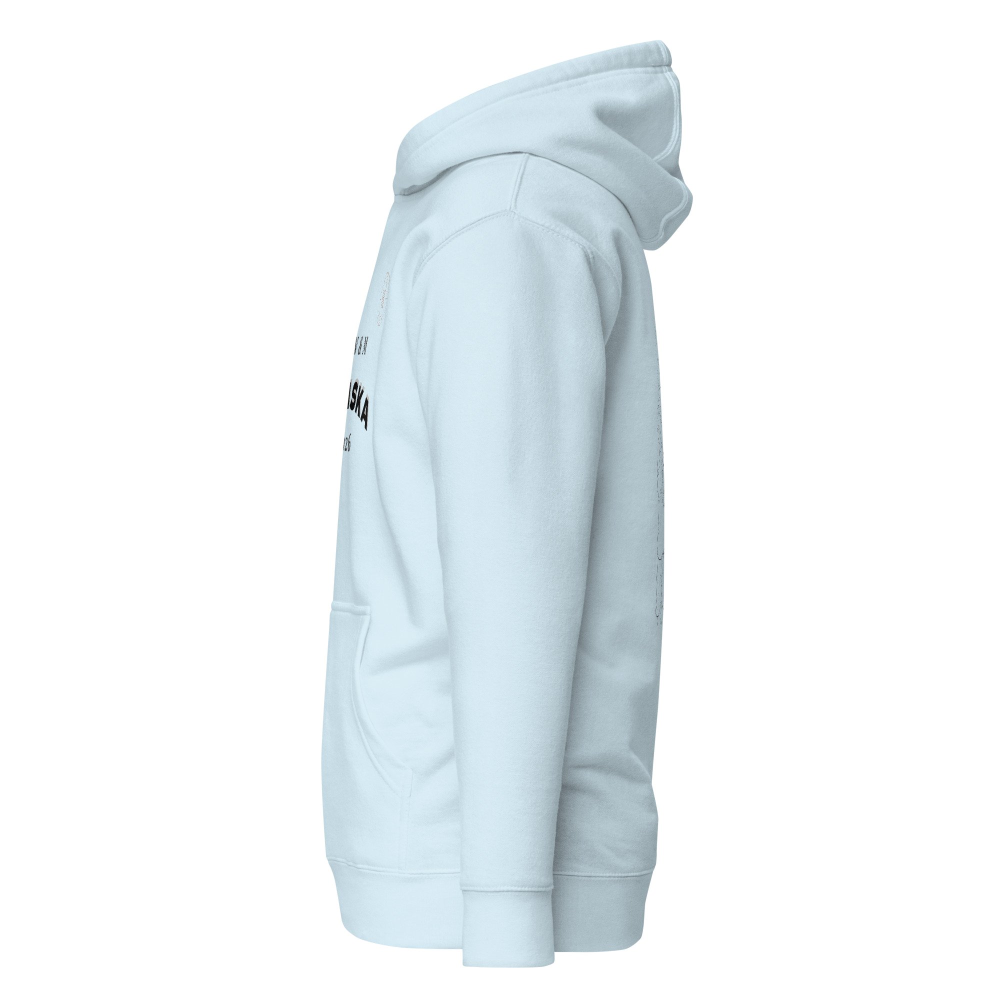 unisex-premium-pullover-hoodie-sky-blue-left-69efe12495f57.jpg