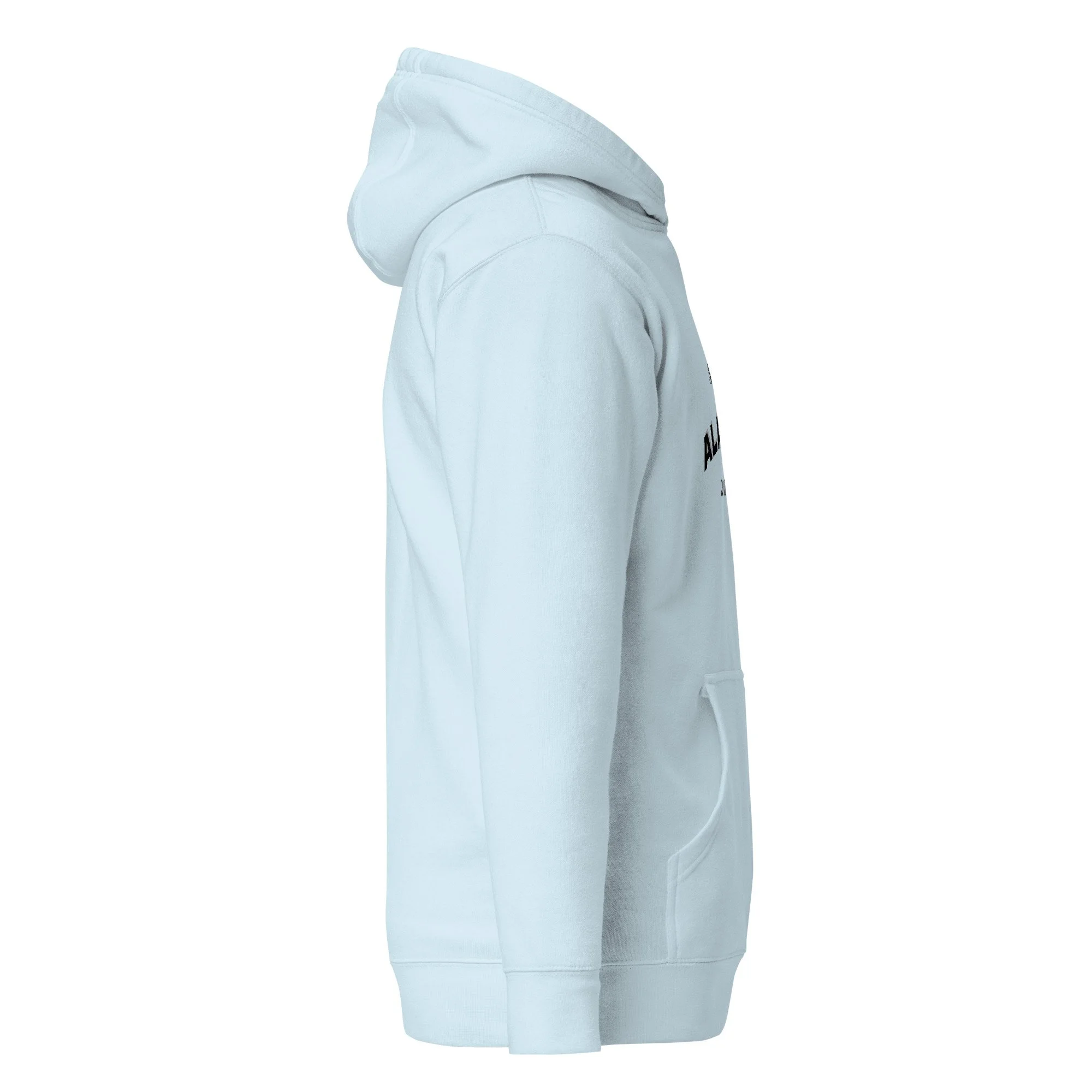 unisex-premium-pullover-hoodie-sky-blue-right-69efe12497045.jpg