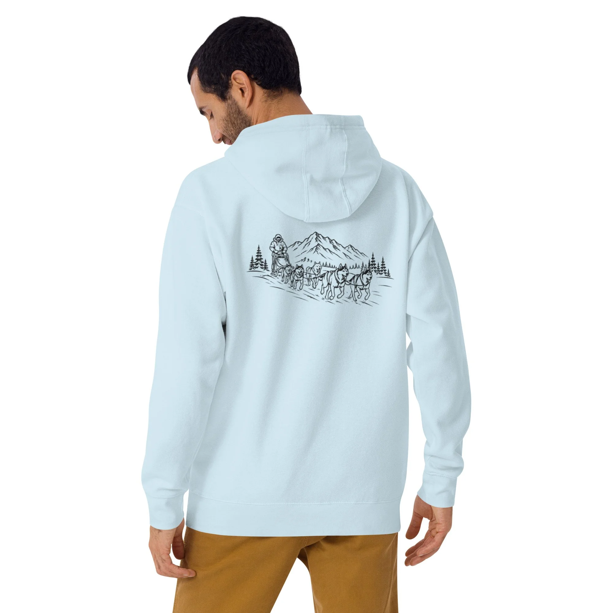 unisex-premium-pullover-hoodie-sky-blue-back-69f3ebf8060d3.jpg