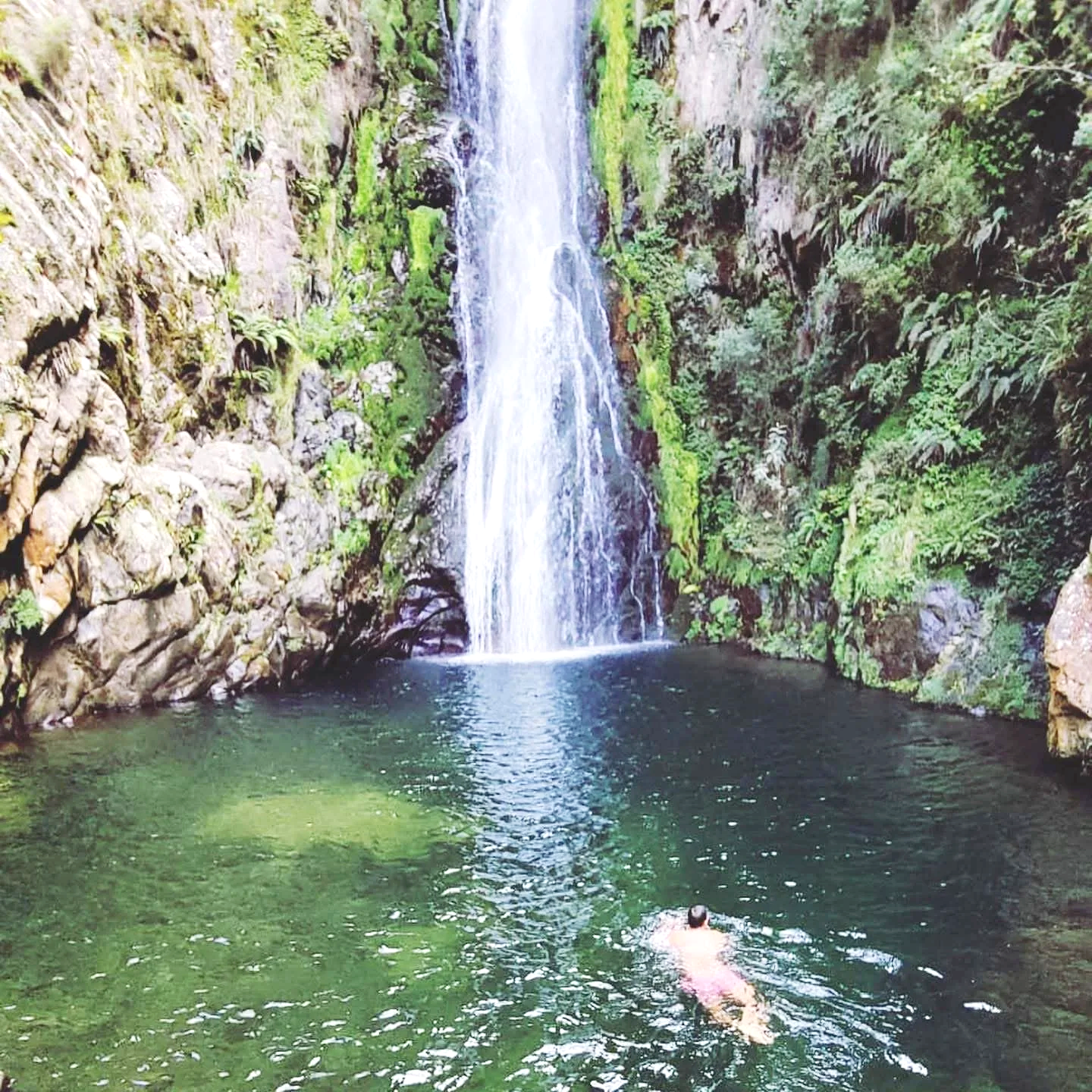A person swimming in a pool beneath a waterfall surrounded by rocks and lush green foliage.