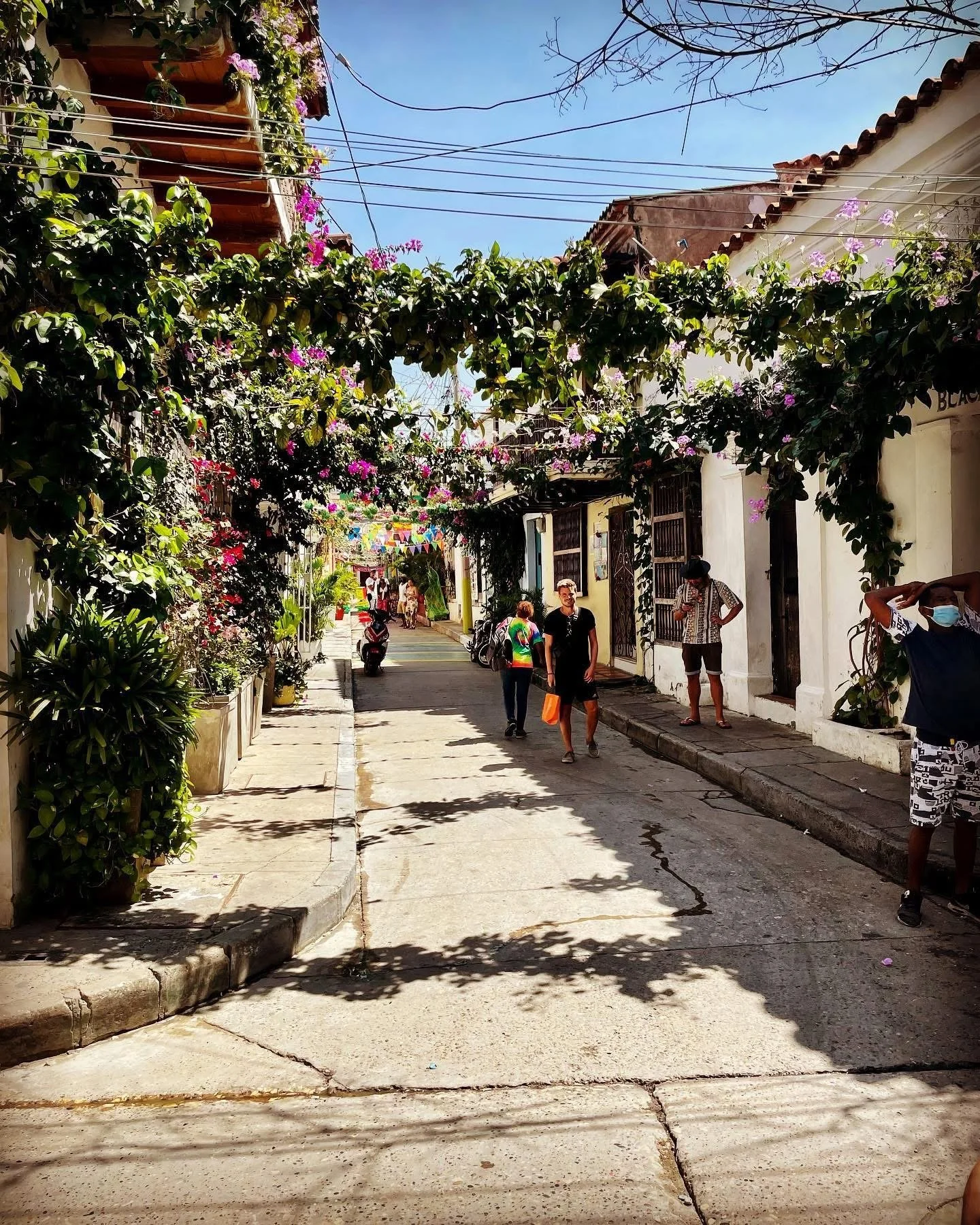 A sunny, narrow street with flowering vines and plants hanging across the top, casting shadows on the sidewalk, with several people walking and standing, and a few parked scooters along the sides.