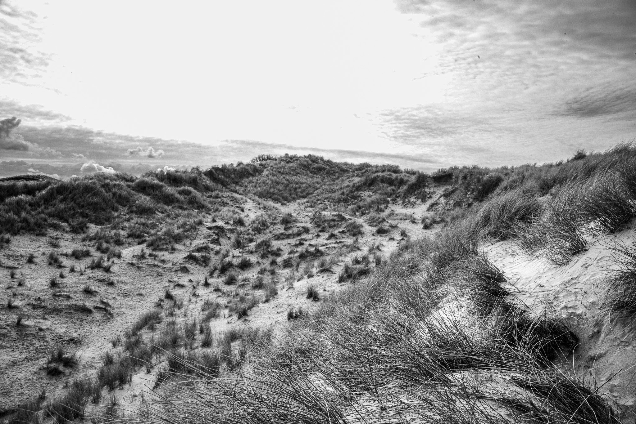 A black and white photograph of sandy dunes with grass, cloudy sky in the background.