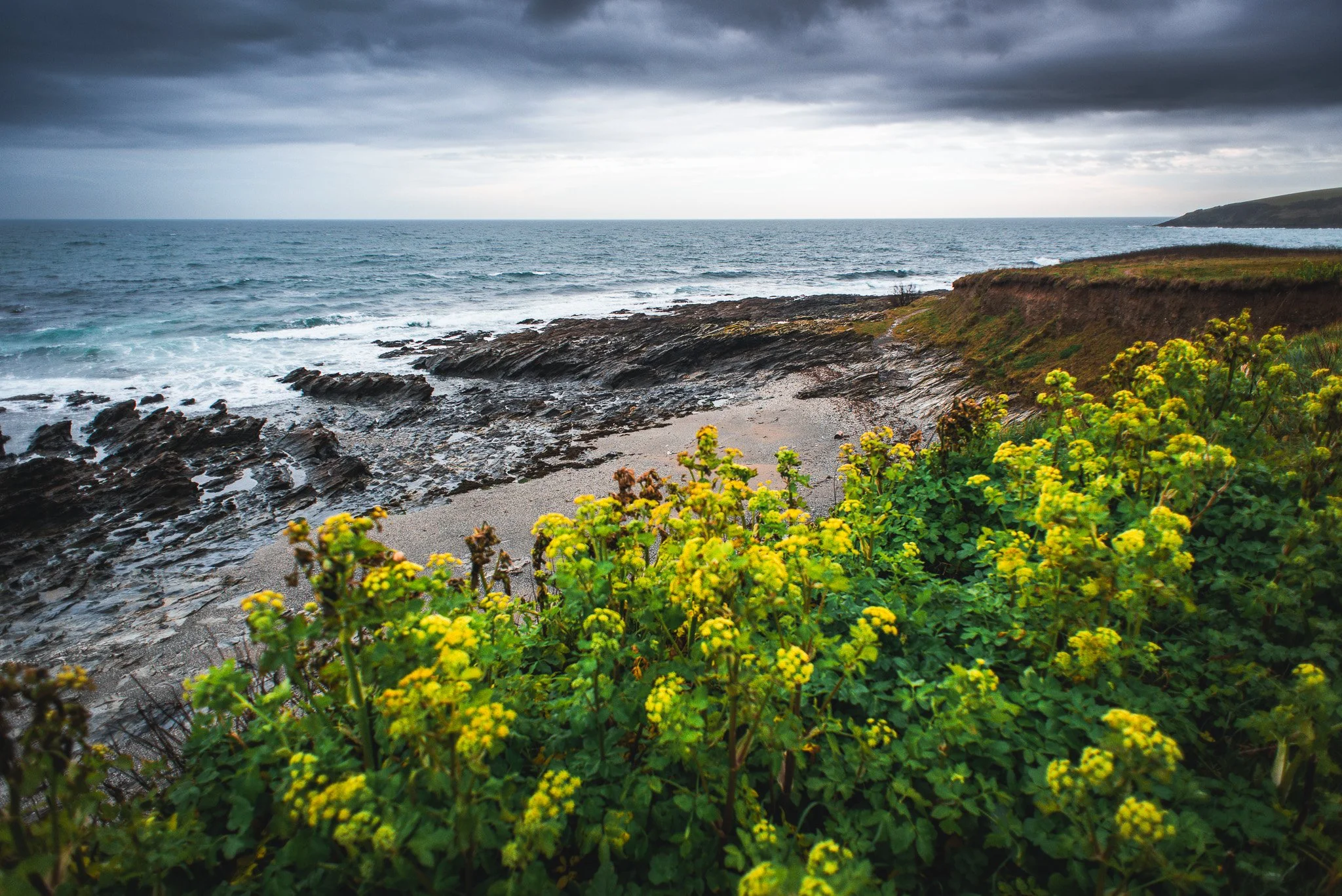 Overcast view of rocky coastline with yellow flowering bushes in the foreground, ocean waves, and a cloudy sky.
