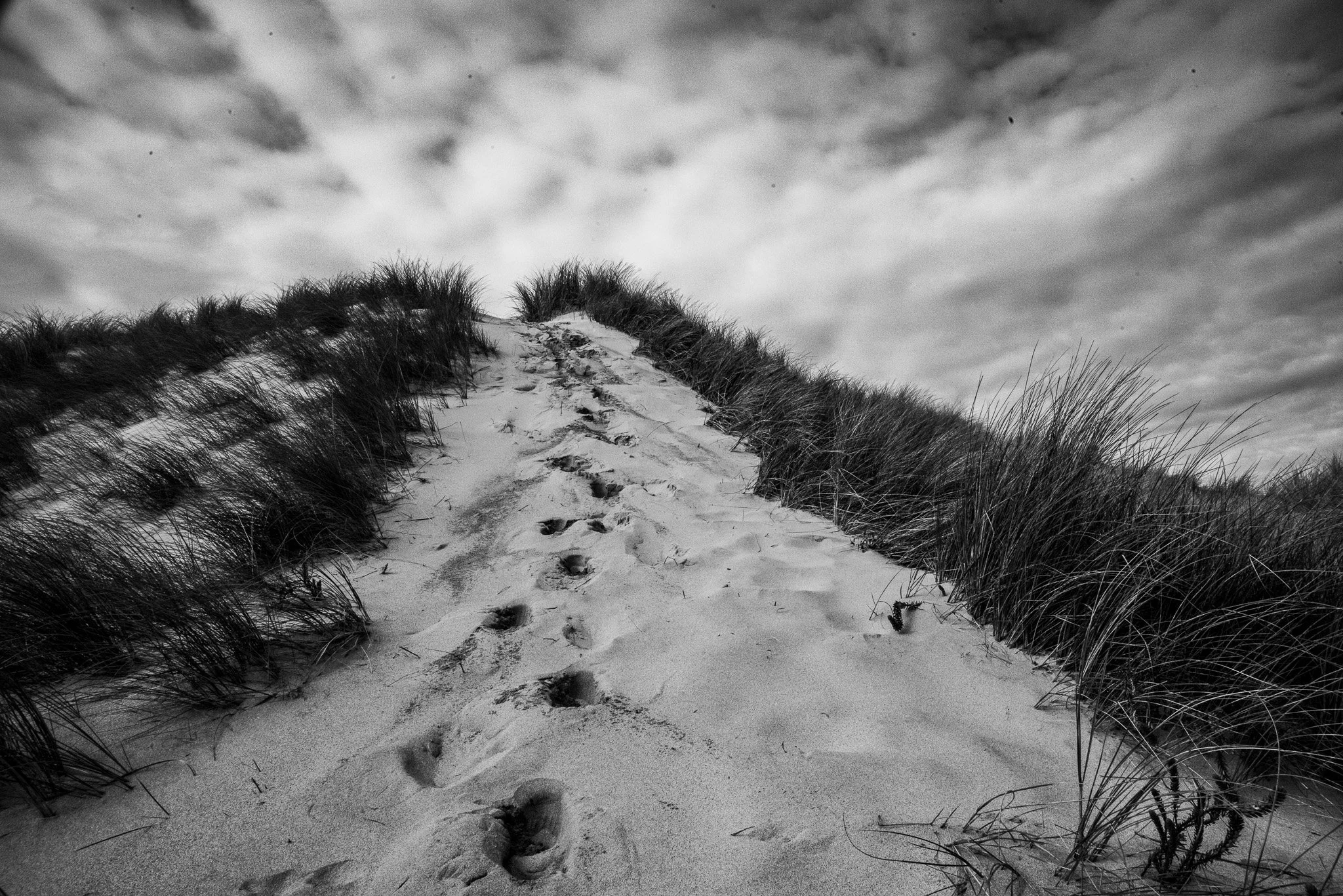 Footprints leading up a sandy dune with tall grass on either side and a cloudy sky overhead.