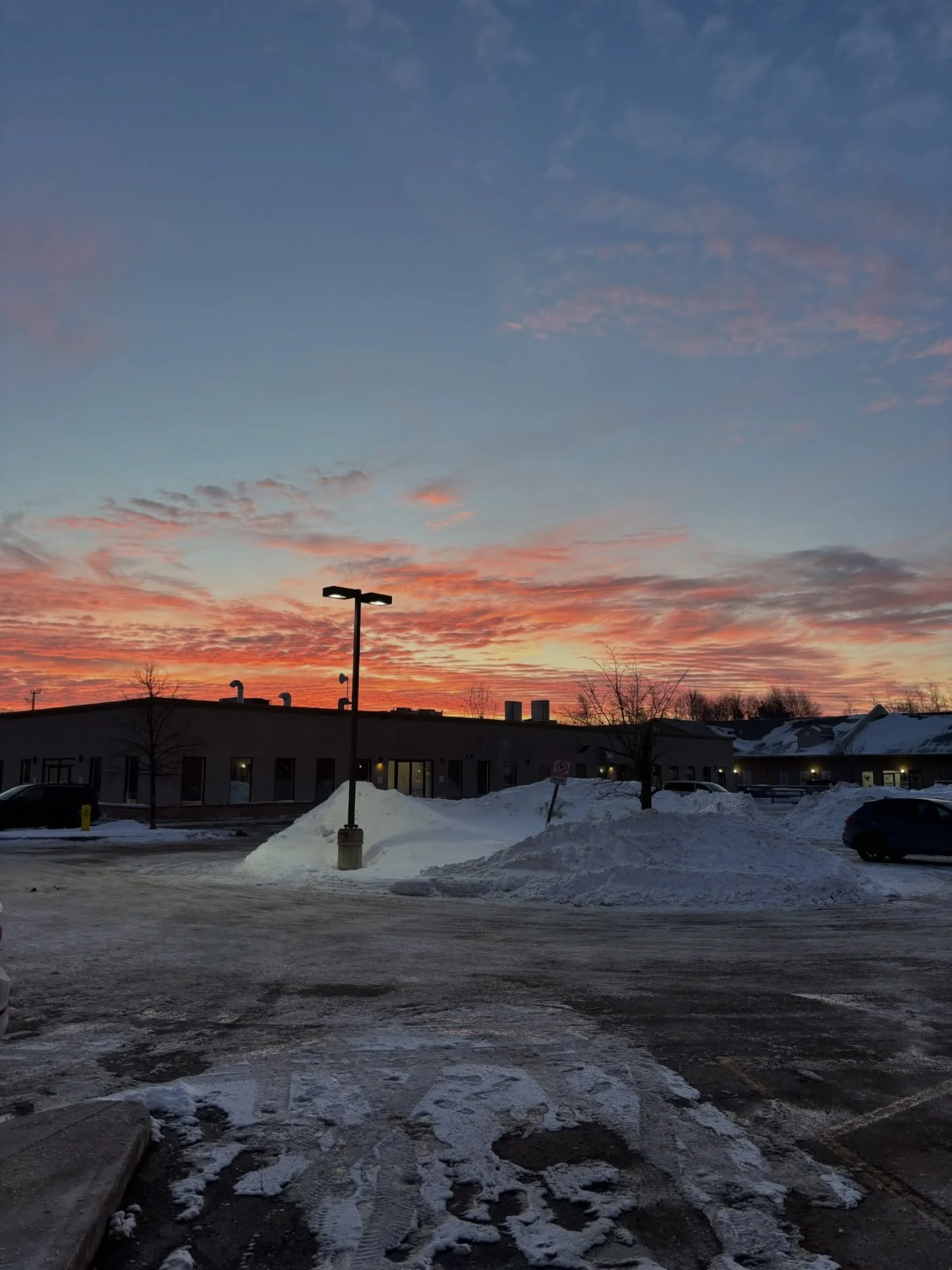 Do something this week that makes you smile #motivationalmonday 🌟
⠀
#EllavateFitness #Ellavate #OnlineCoaching #PersonalTraining