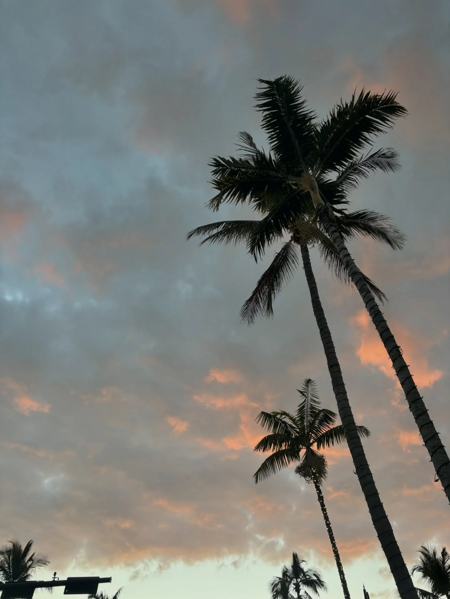 A little #motivationalmonday after a week in the sun☀️ 

Lots of steps, fresh air, and a much-needed break from the snow! ⠀
⠀
Back in London for the final stretch of undergrad 🥲⠀
⠀
Have the best week 🤍⠀
⠀
#EllavateFitness #Ellavate #OnlineCoaching 