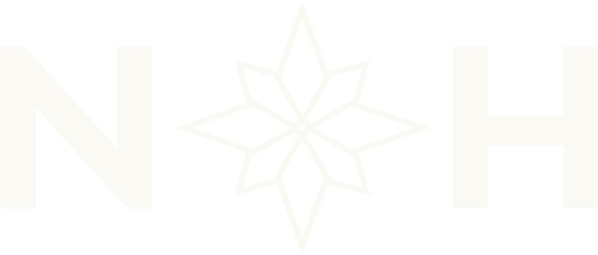 The word 'N O E' with a snowflake symbol in place of the 'O' against a black background.