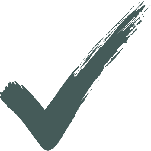 Decorative checkmark