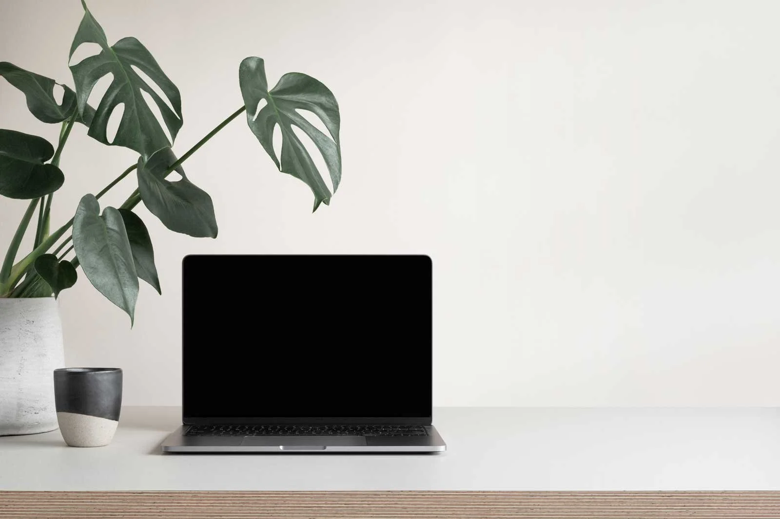Minimal creative workspace with laptop and plant on a desk