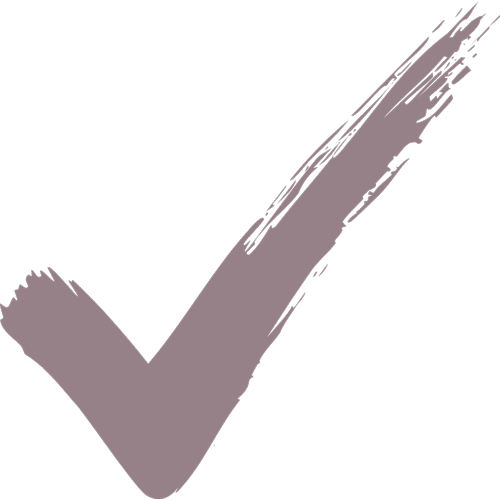 Decorative check mark