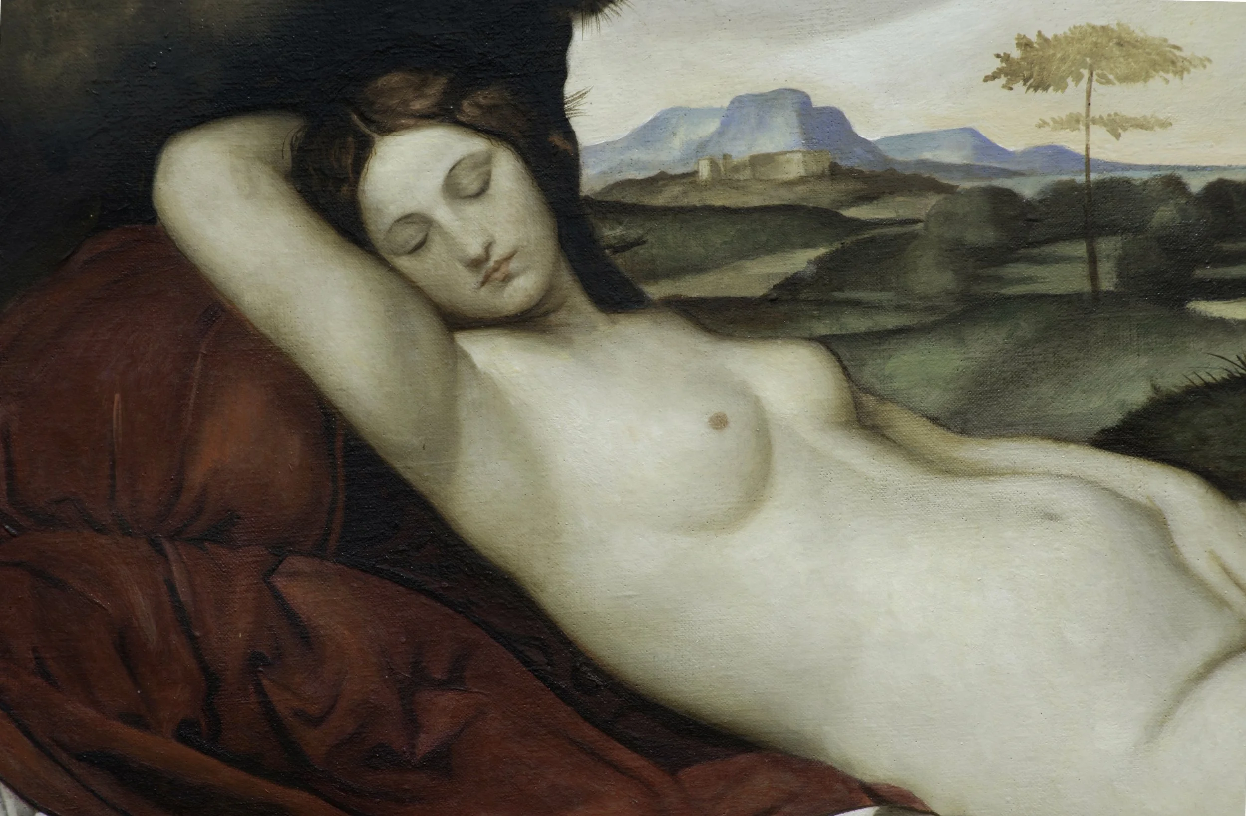 VENUS_DETAIL.jpg