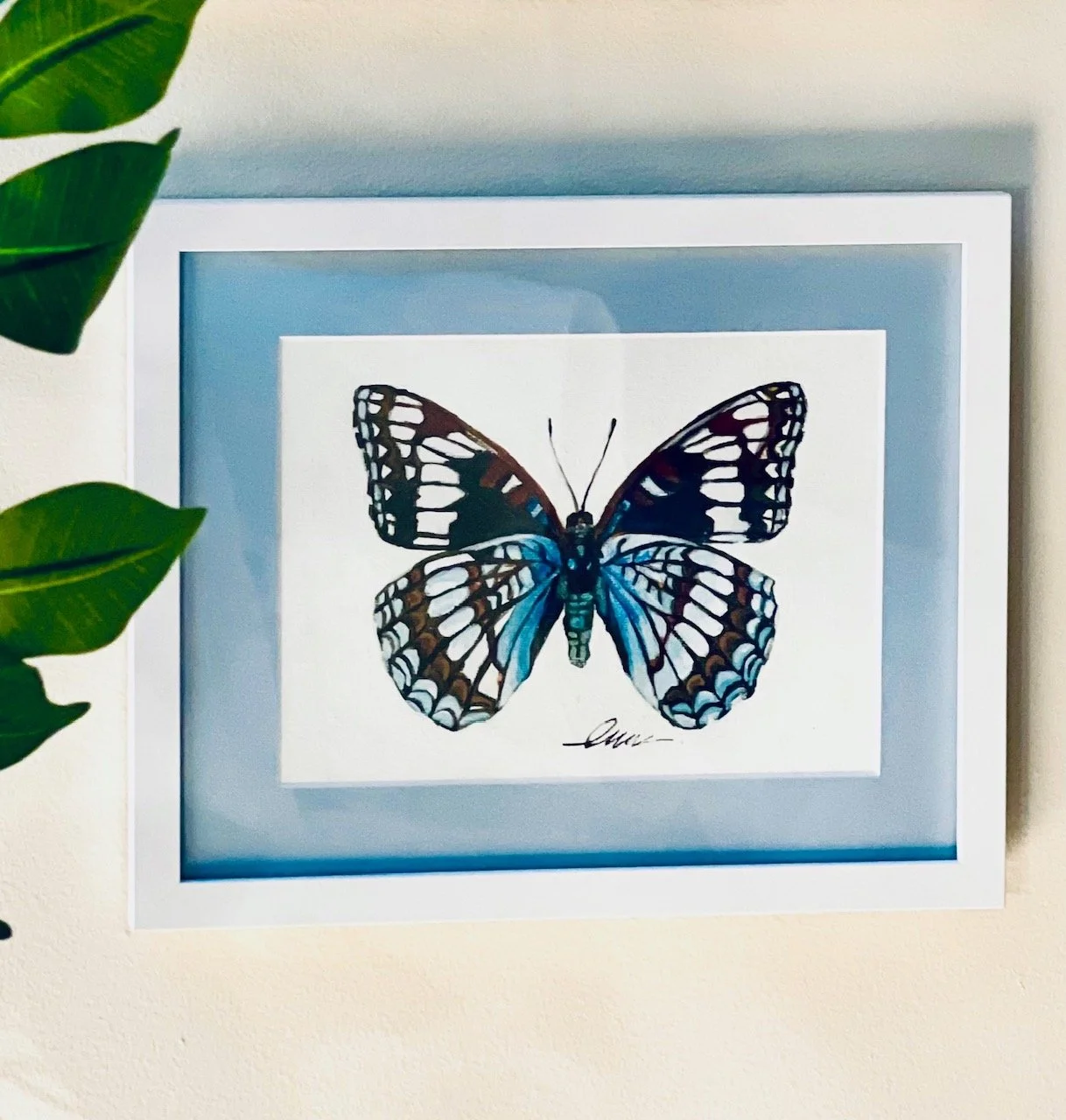 Hand Painted black white butterfly “Weidemeyer’s Admiral”