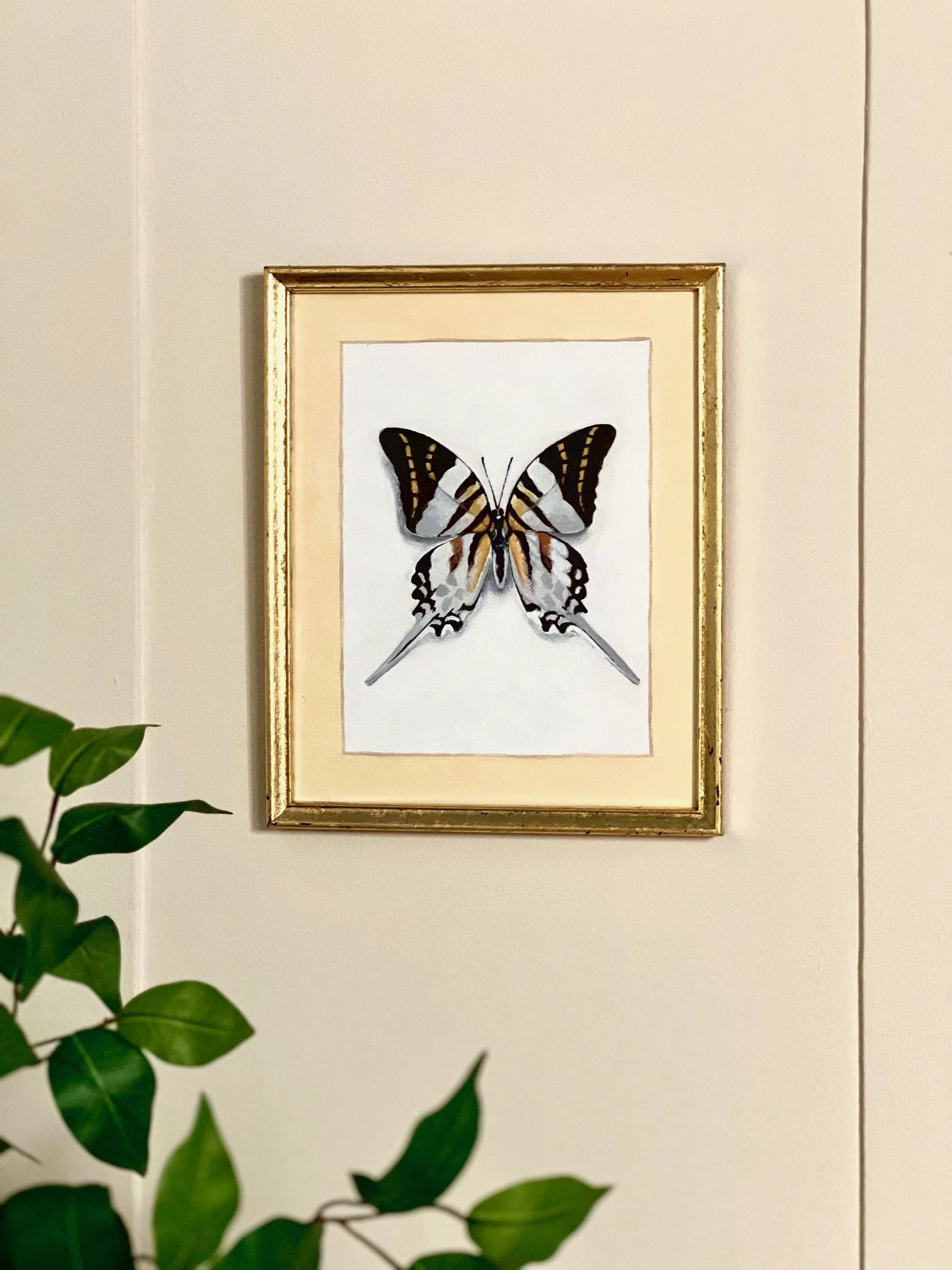 Hand Painted Giant Swordtail Butterfly
