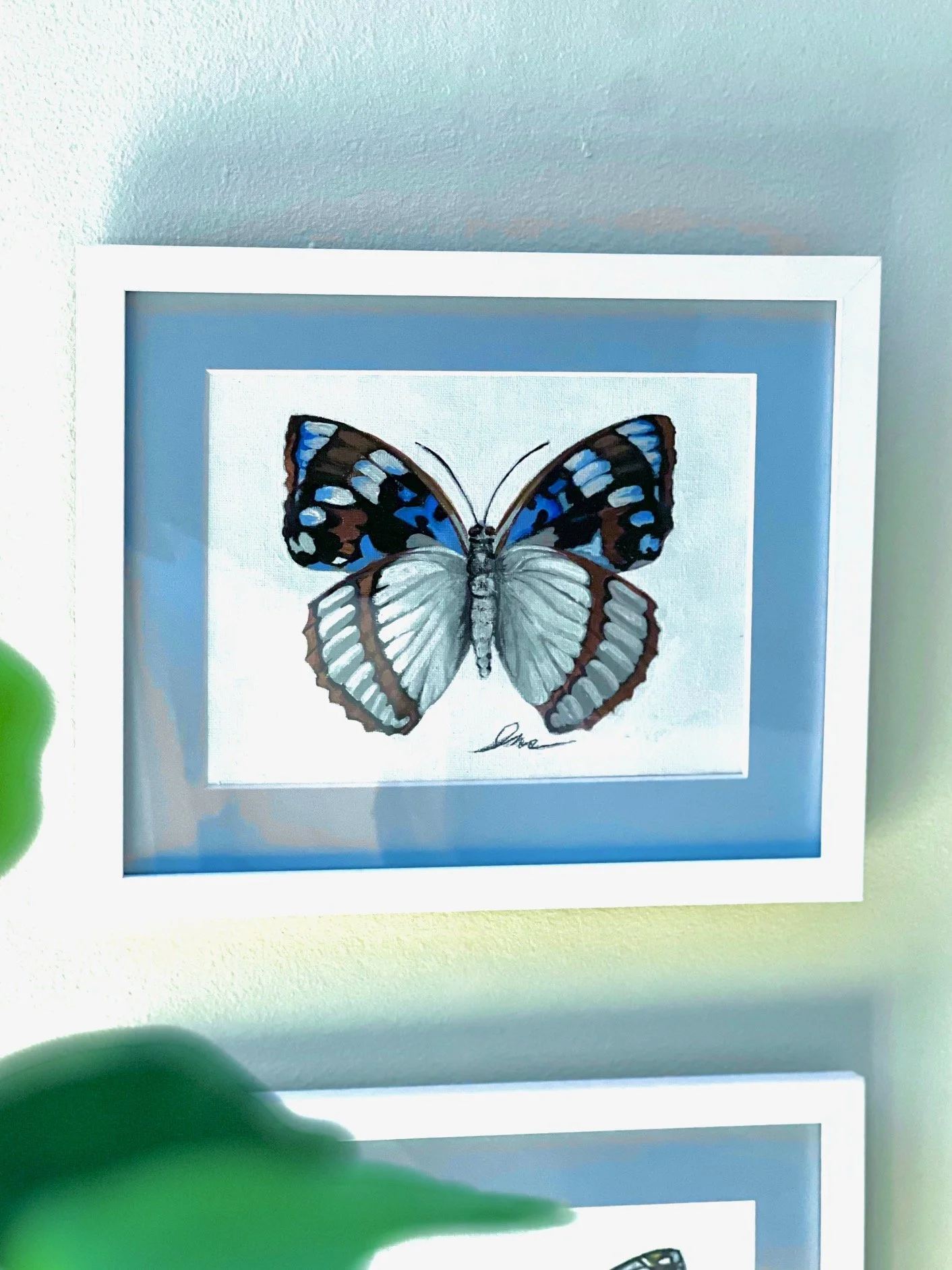 Hand Painted blue white butterfly “Schrenck’s Emperor”