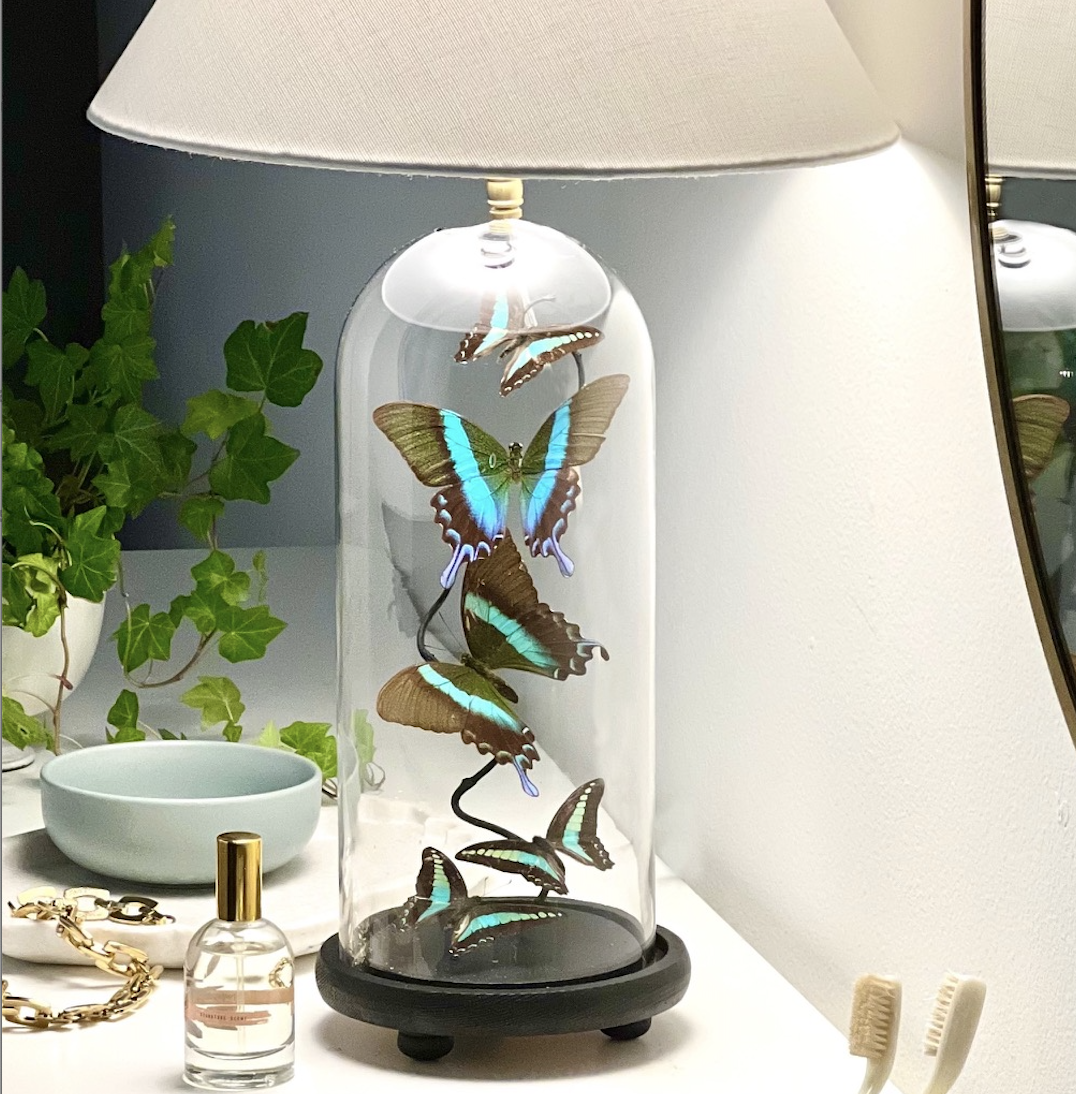 PEACOCK FEATHER LAMP 3