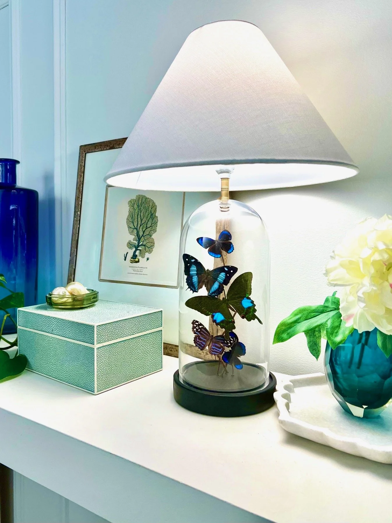 A hand crafted one-of-a-kind butterfly cloche lamp made with real butterflies and curly willow branches.