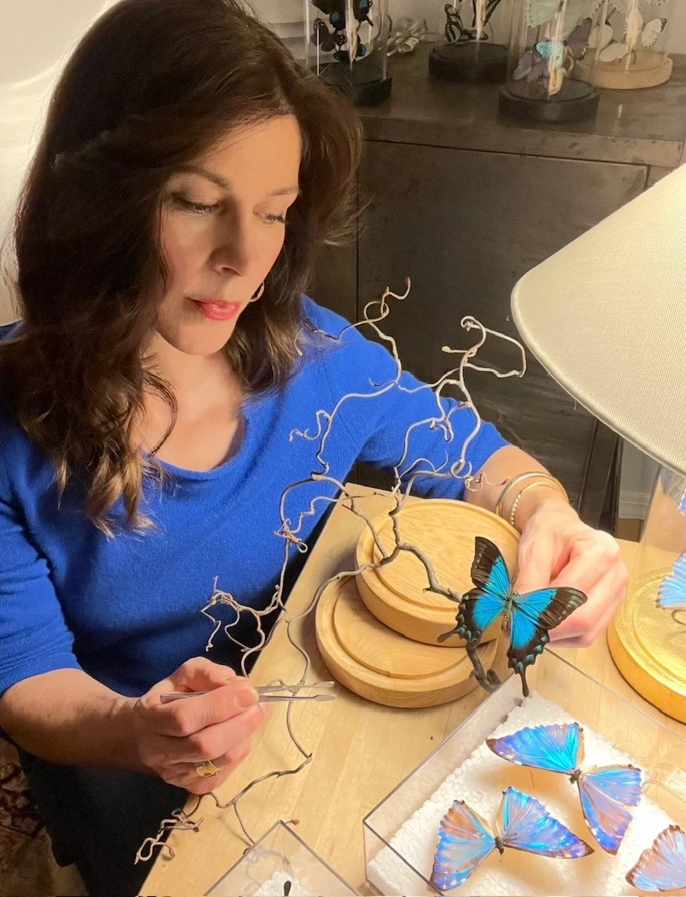 META-MORPHOS owner and creator, Michelle Vey, builds a one-of-a-kind butterfly cloche lamp made with real butterflies and” curly willow branches.