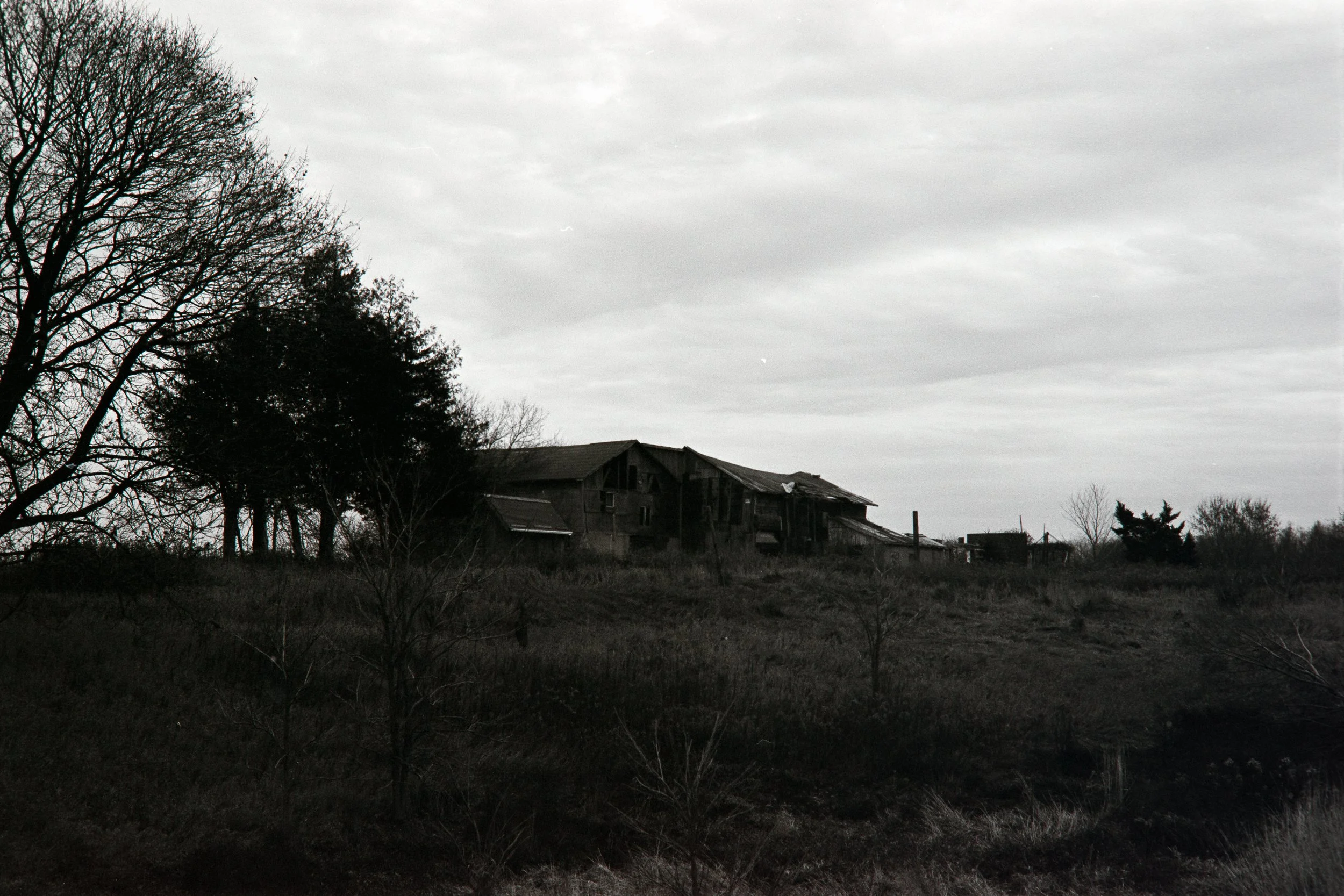_MG_9900.jpg