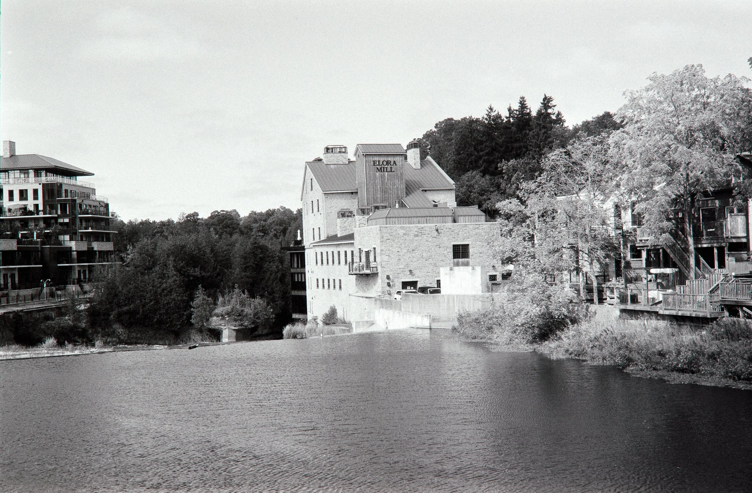_MG_9597.jpg