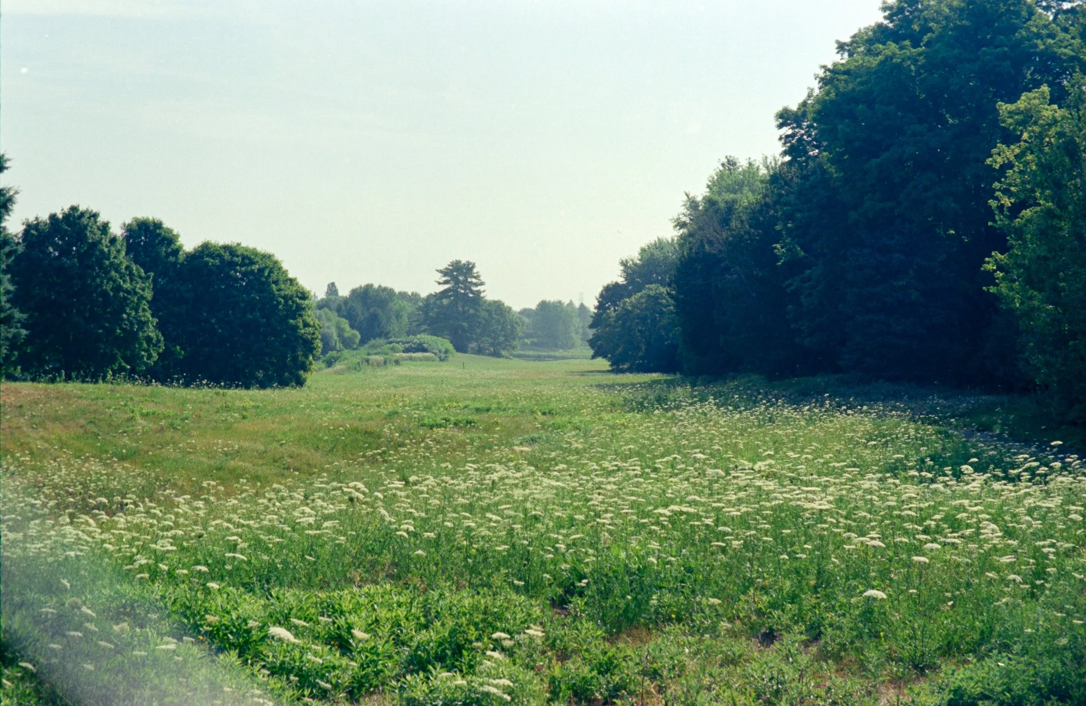 _MG_9280.jpg