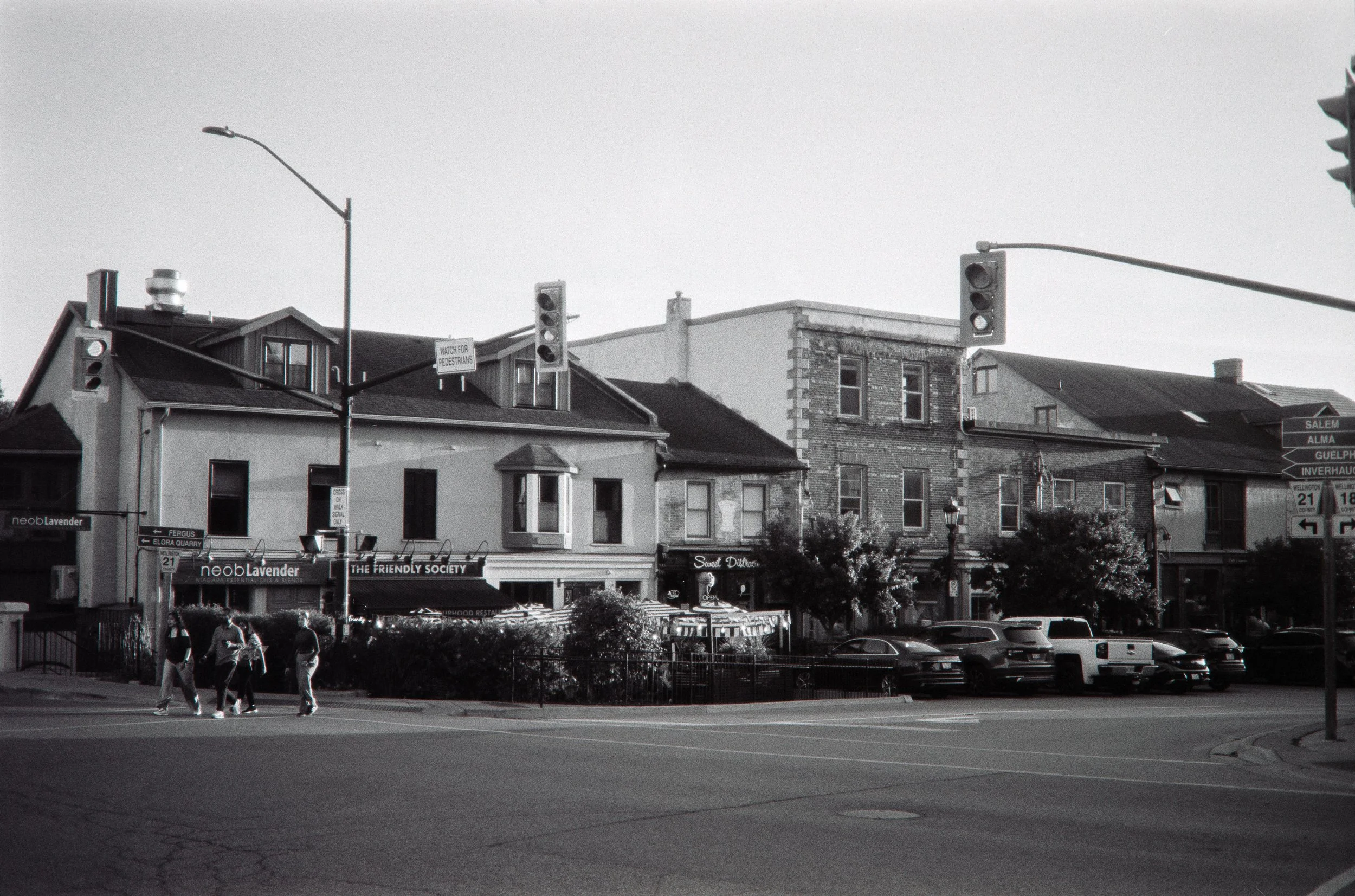 _MG_9569.jpg