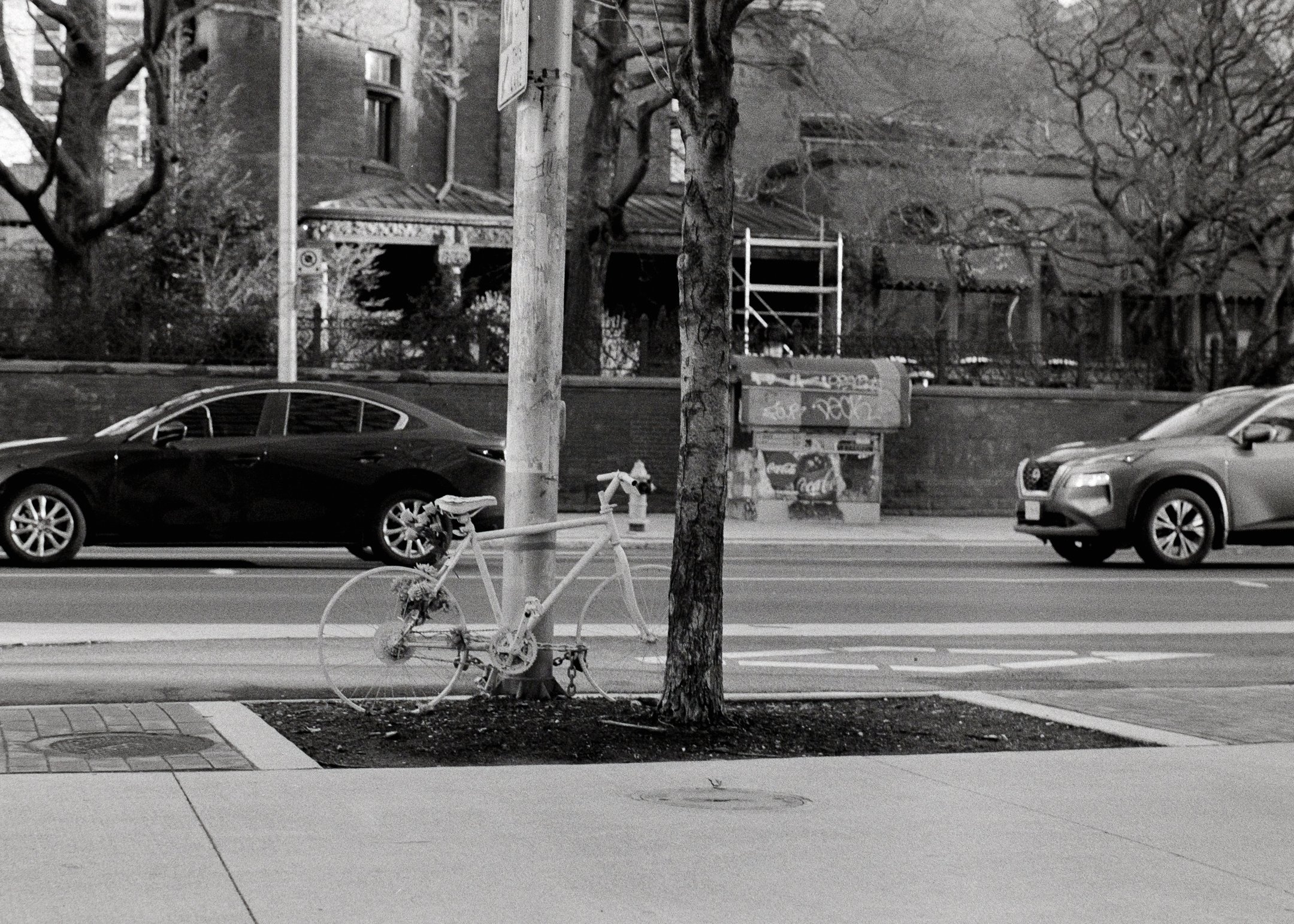 DSCF8849.jpg