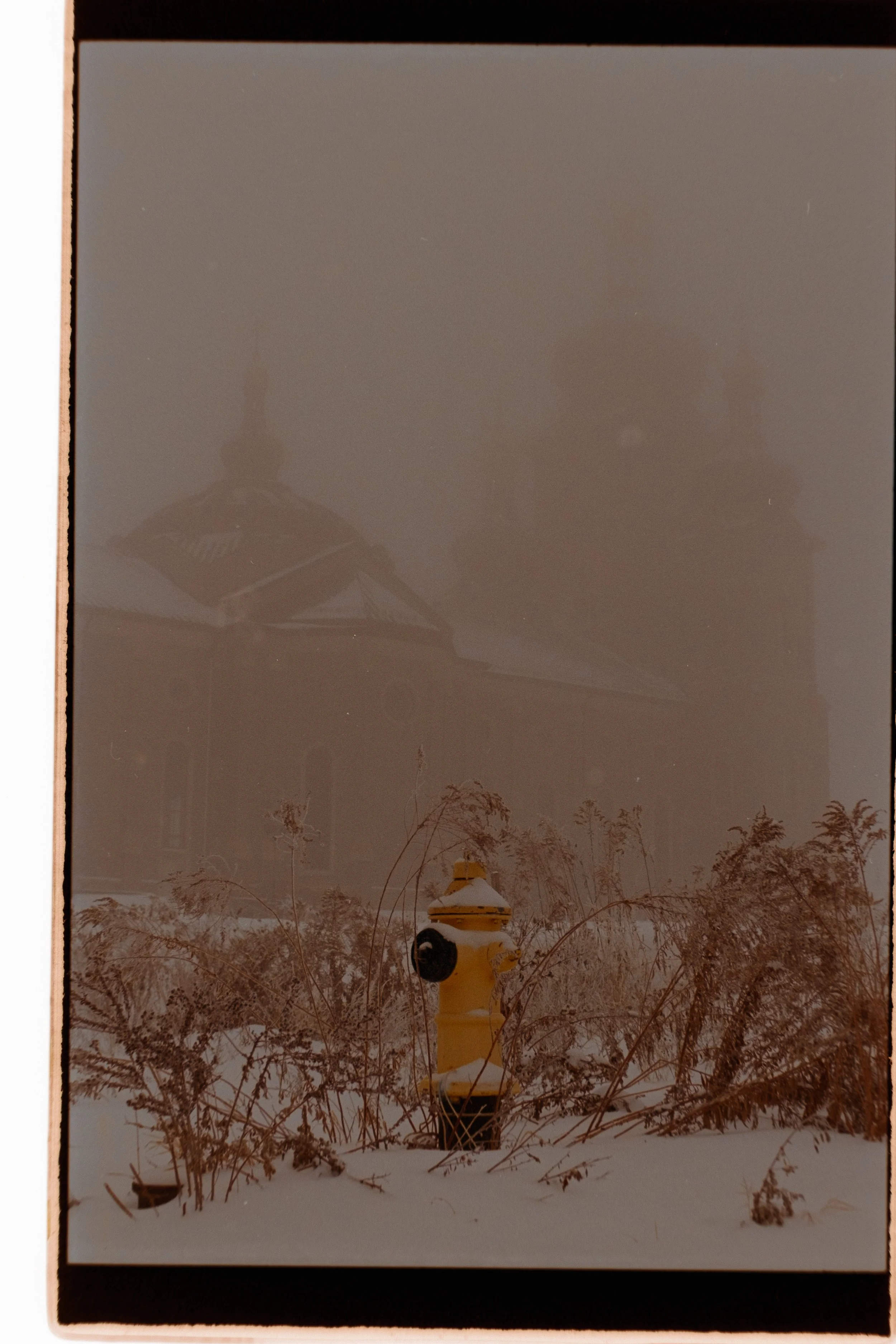 DSCF6791.jpg