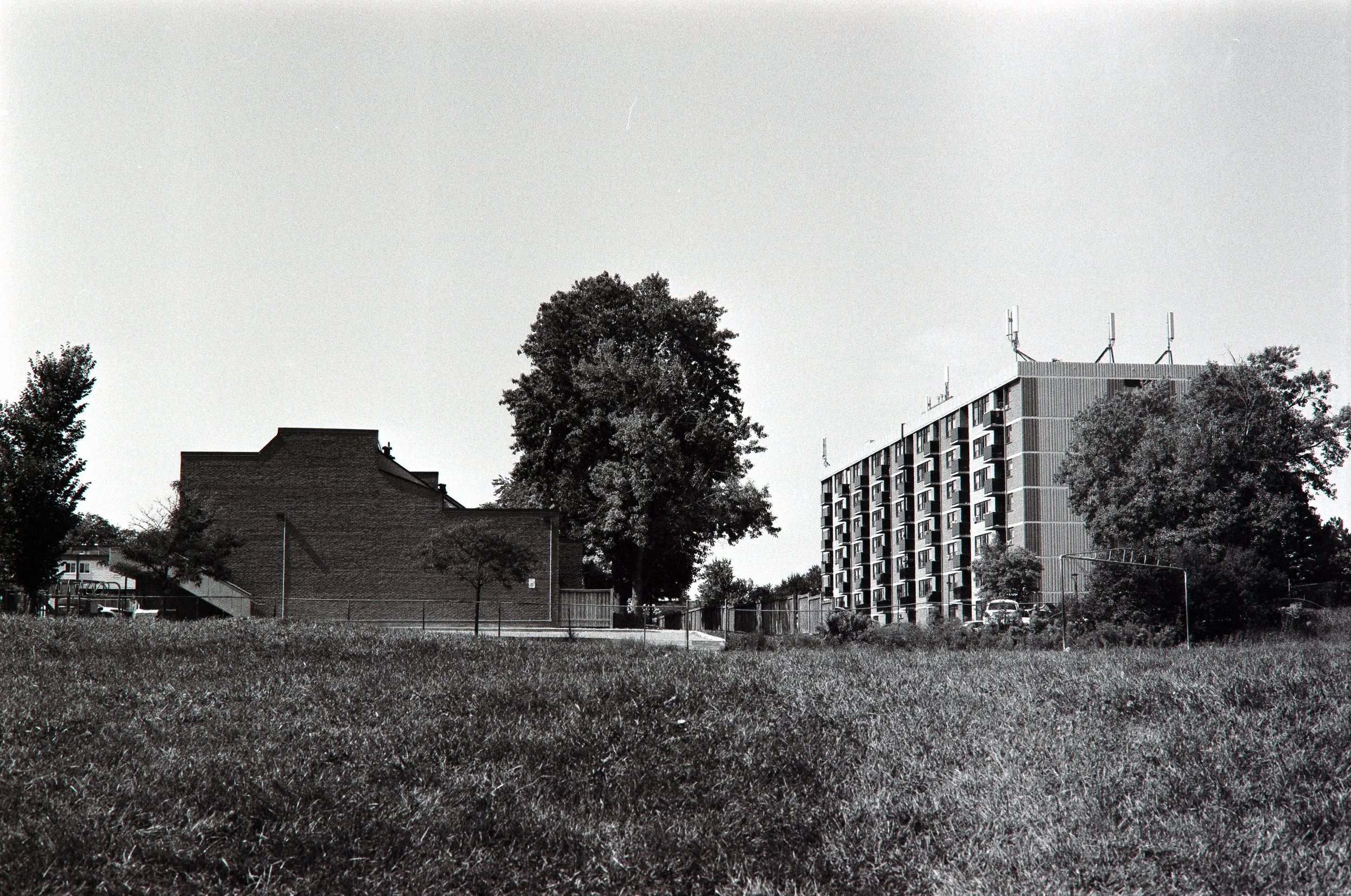 _MG_9645.jpg