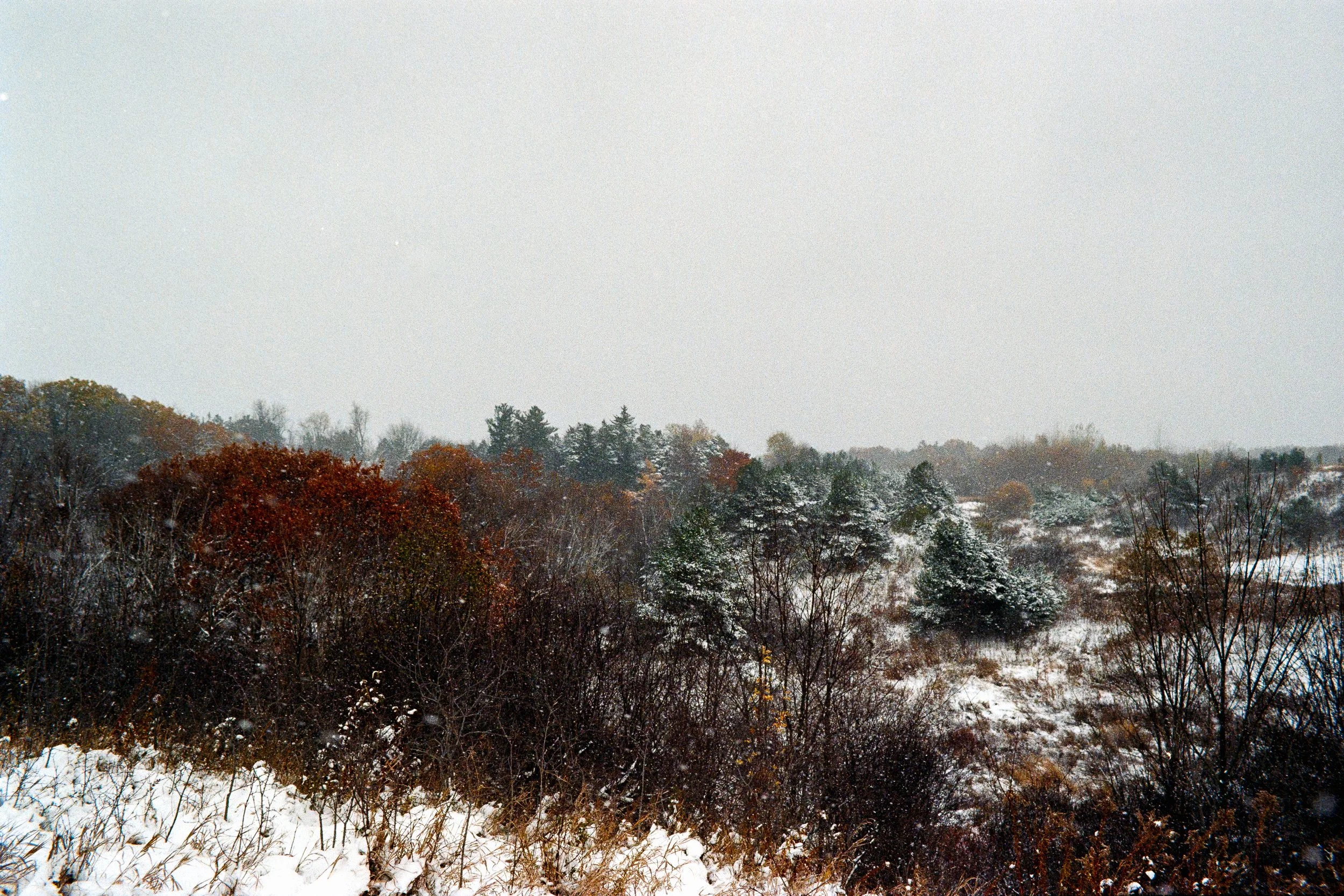 _MG_9979.jpg